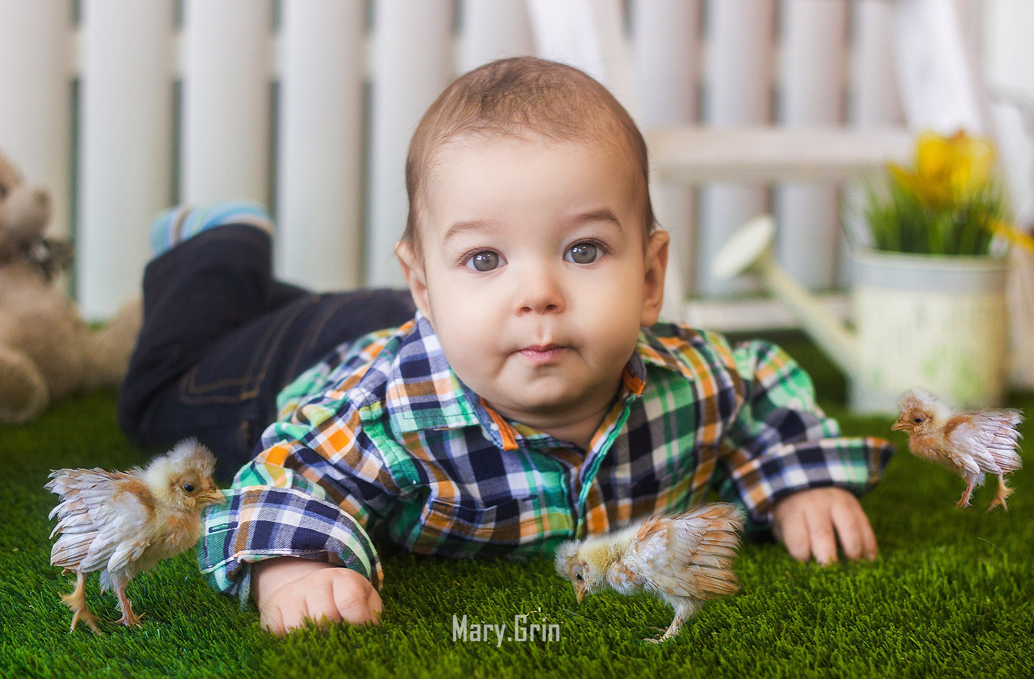 Студийная фотосессия с цыплятами. Детский и семейный фотограф, фотограф мероприятий Нижний Новгород