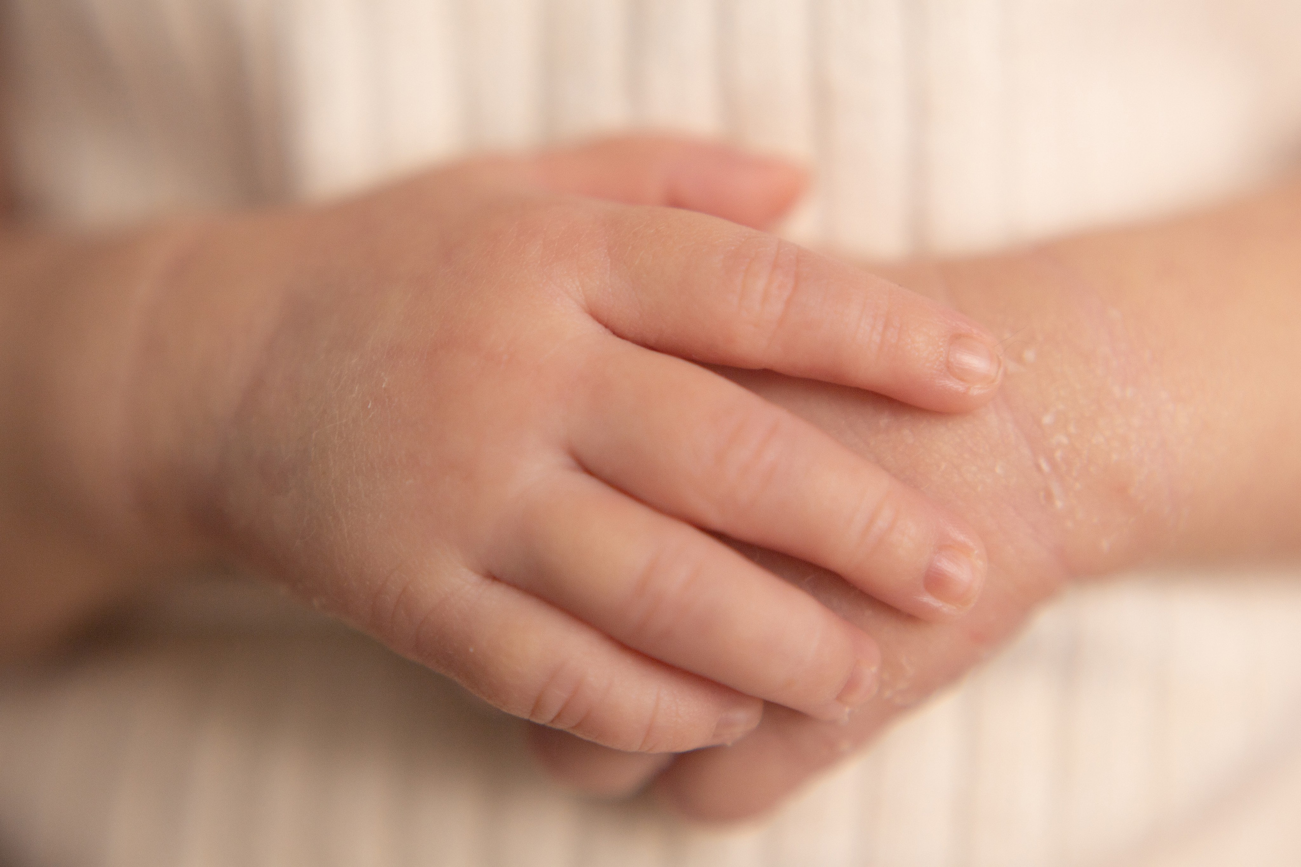 Малышка Мария (12 дней). Фотограф в Северском районе| г. Краснодар Алена Заливчая