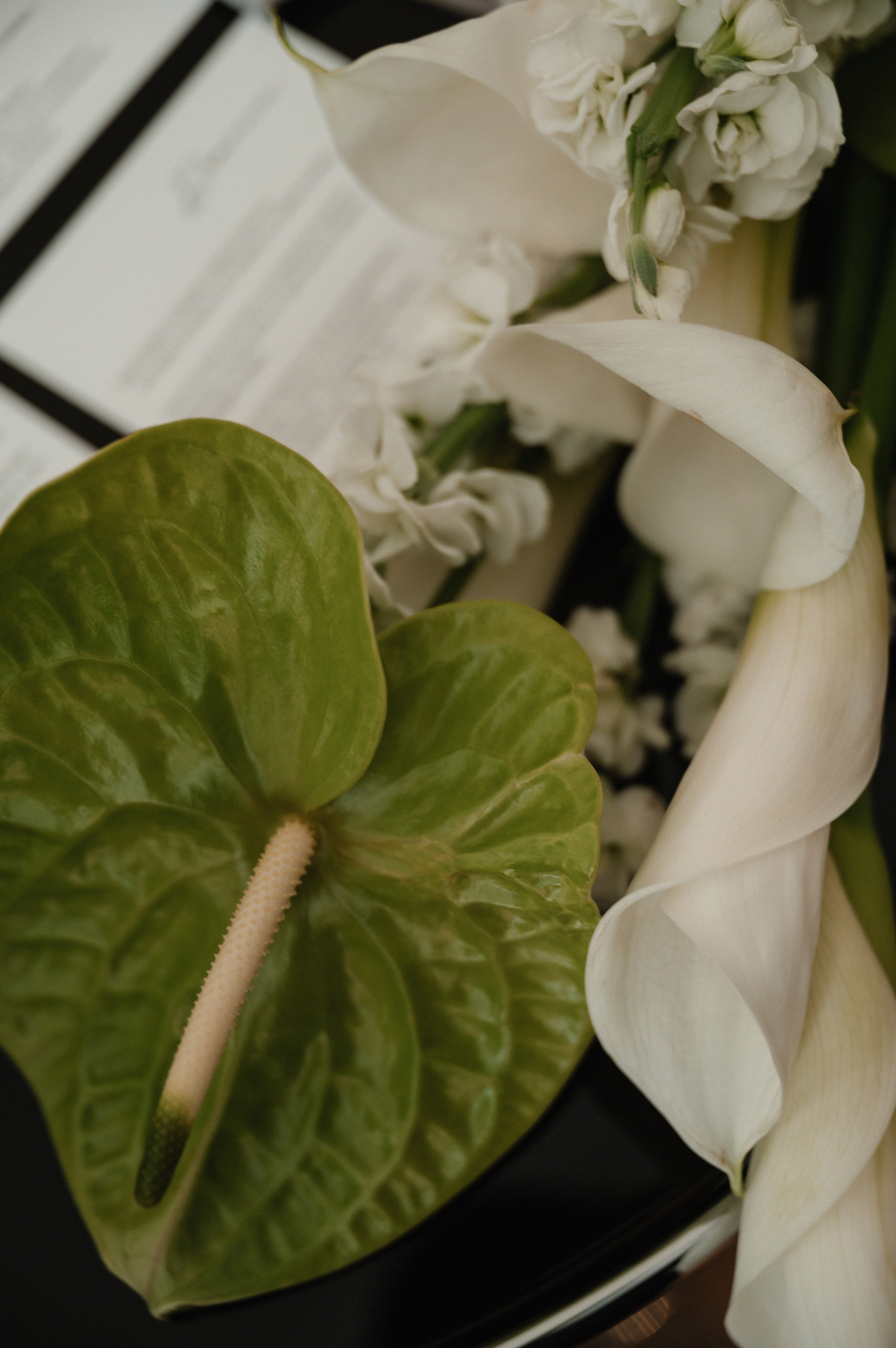 Антон и Влада.Свадьба для двоих. Свадебный фотограф Раменское-Москва