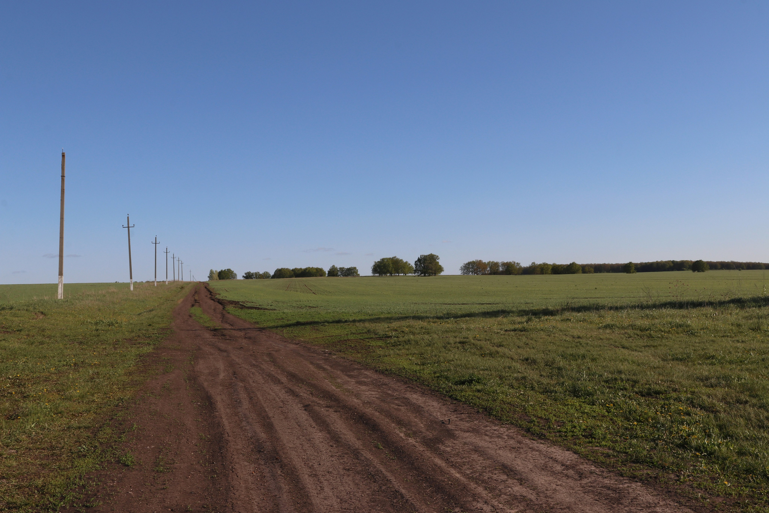 Велопоход Уфа — Мелеуз. Май 2024. Путешественник-фотограф из Санкт-Петербурга Татьяна Свистулина