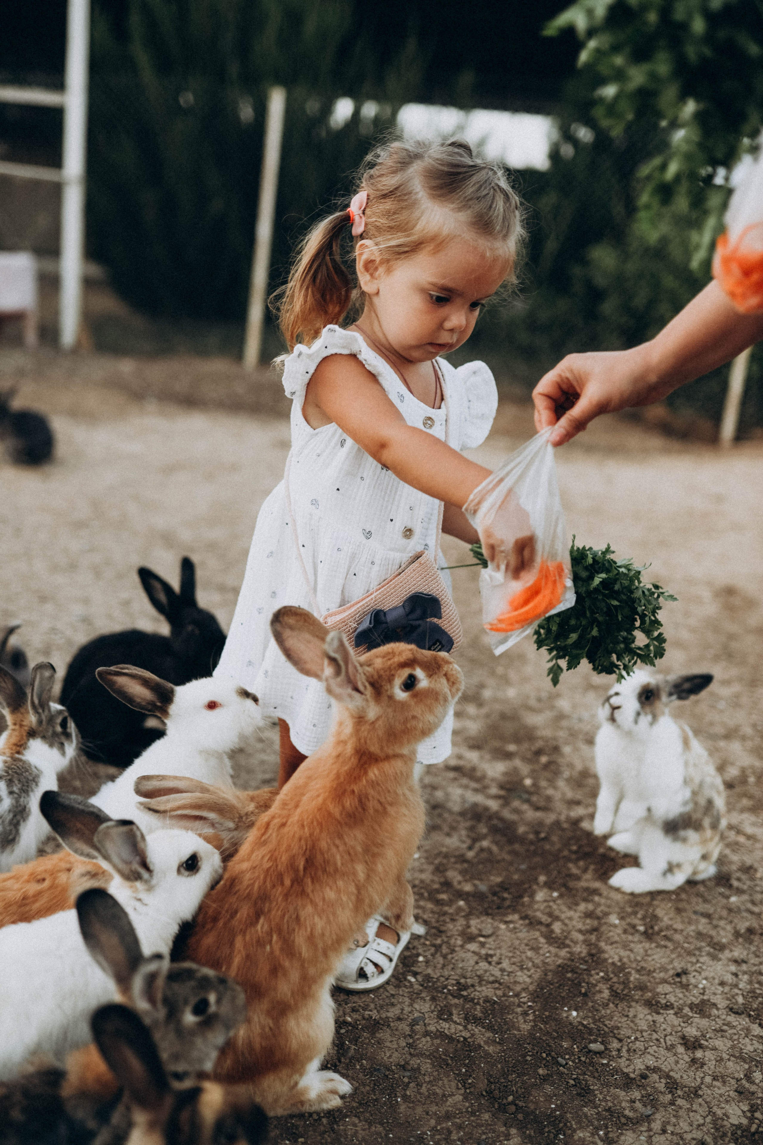 Кроликпарк 🐇. Индивидуальные и семейные съемки в Евпатории, Крыму Немировченко Анна