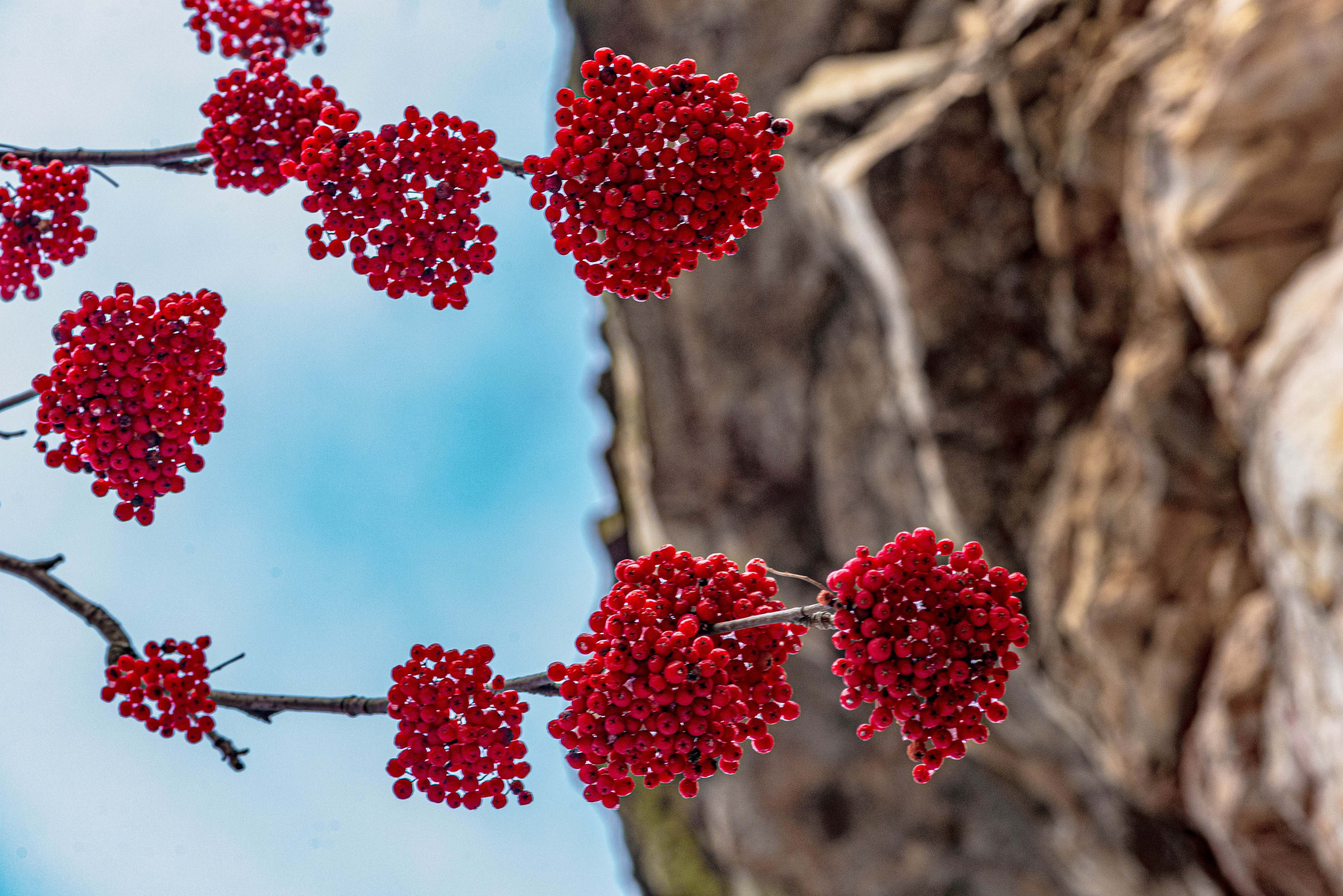 Каменный город, Губаха, Пермский край. Свадебный фотограф на Урале Виктор Соколов
