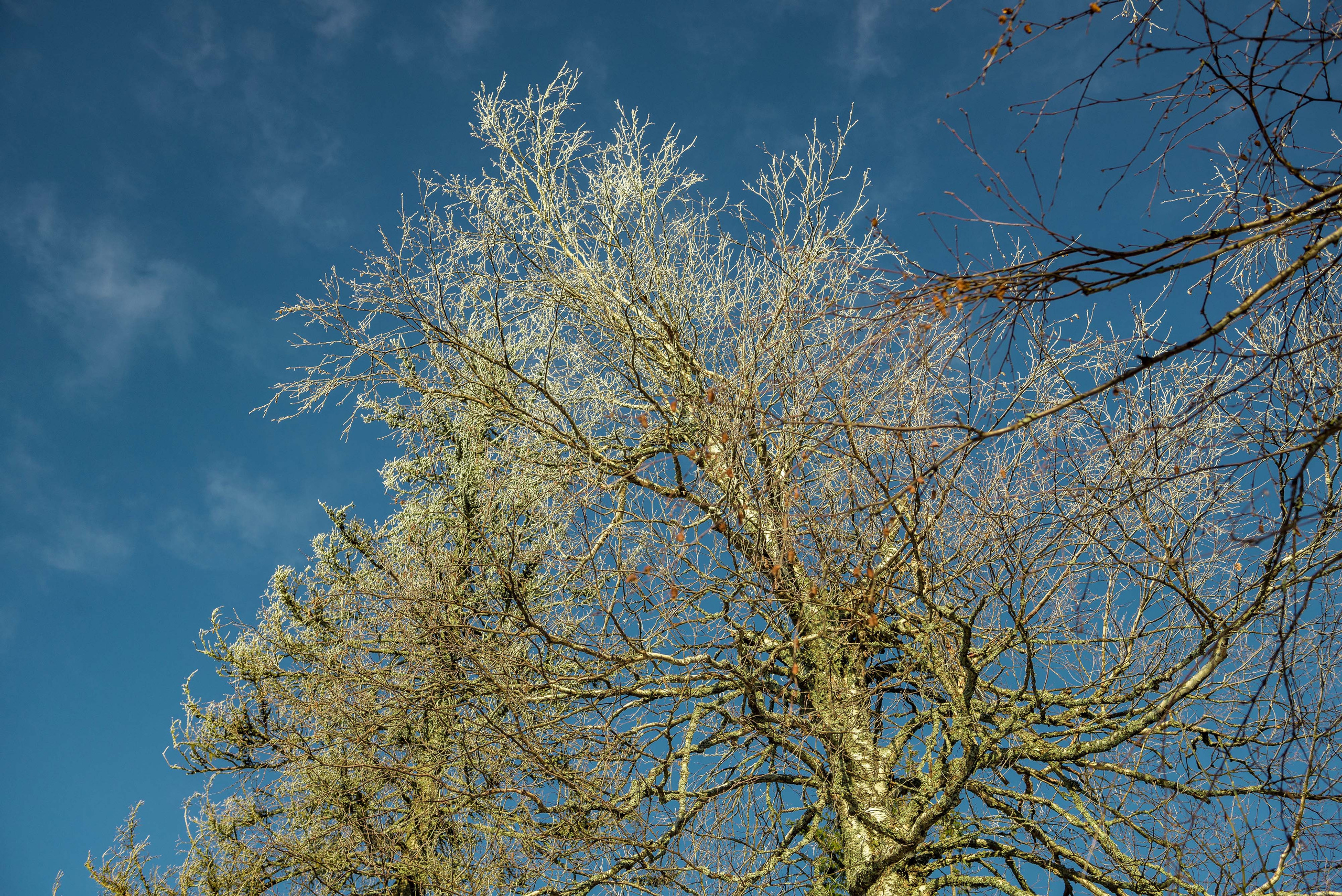 Каменный город, Губаха, Пермский край. Свадебный фотограф на Урале Виктор Соколов