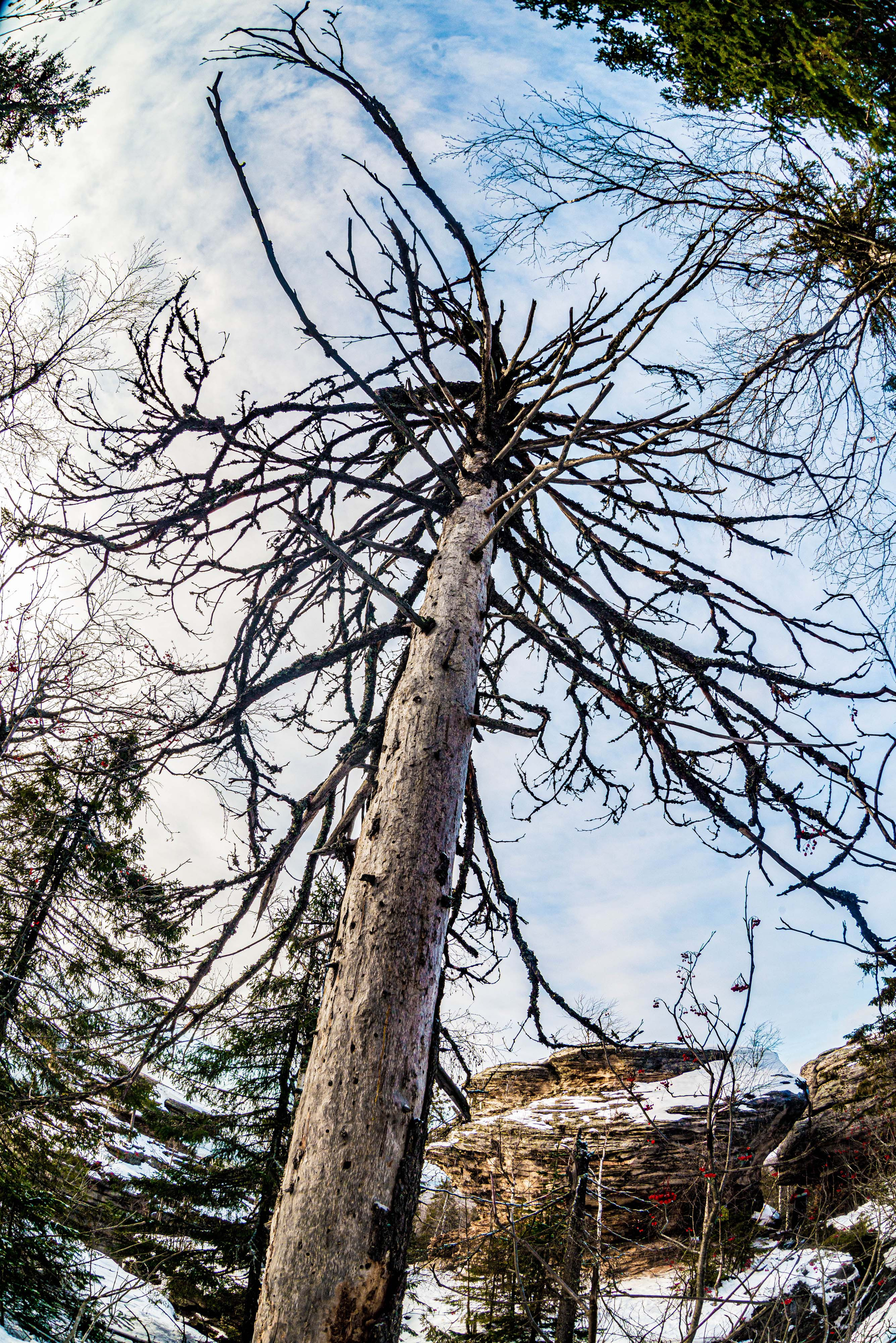 Каменный город, Губаха, Пермский край. Свадебный фотограф на Урале Виктор Соколов