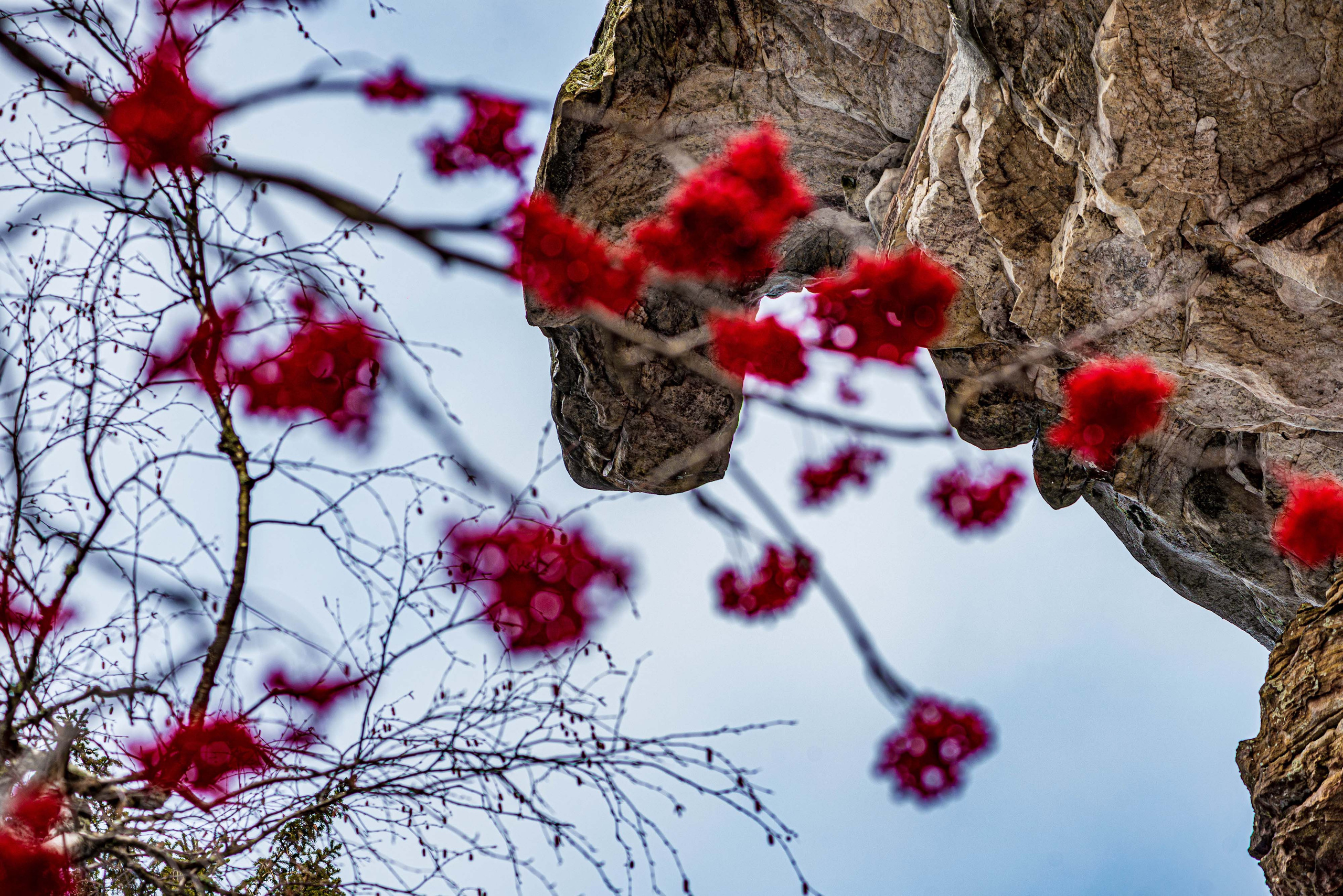 Каменный город, Губаха, Пермский край. Свадебный фотограф на Урале Виктор Соколов