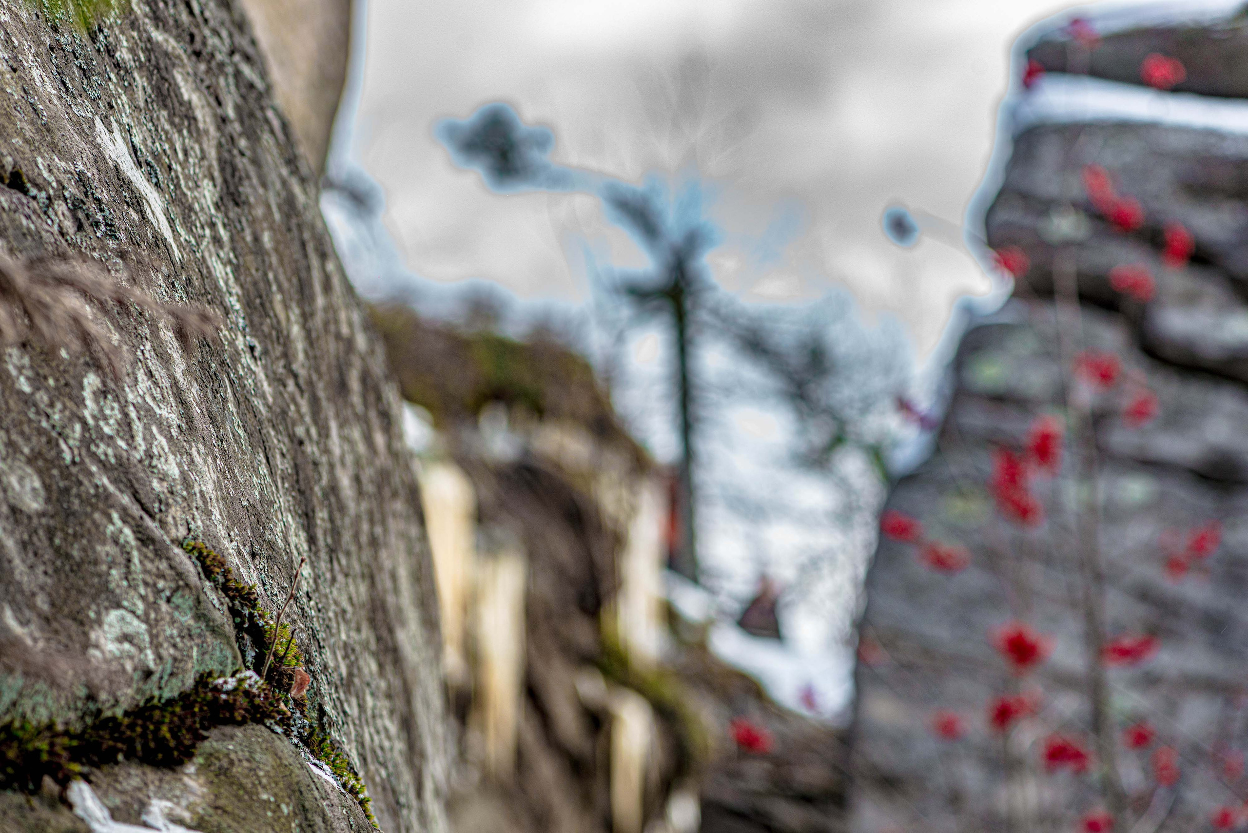 Каменный город, Губаха, Пермский край. Свадебный фотограф на Урале Виктор Соколов