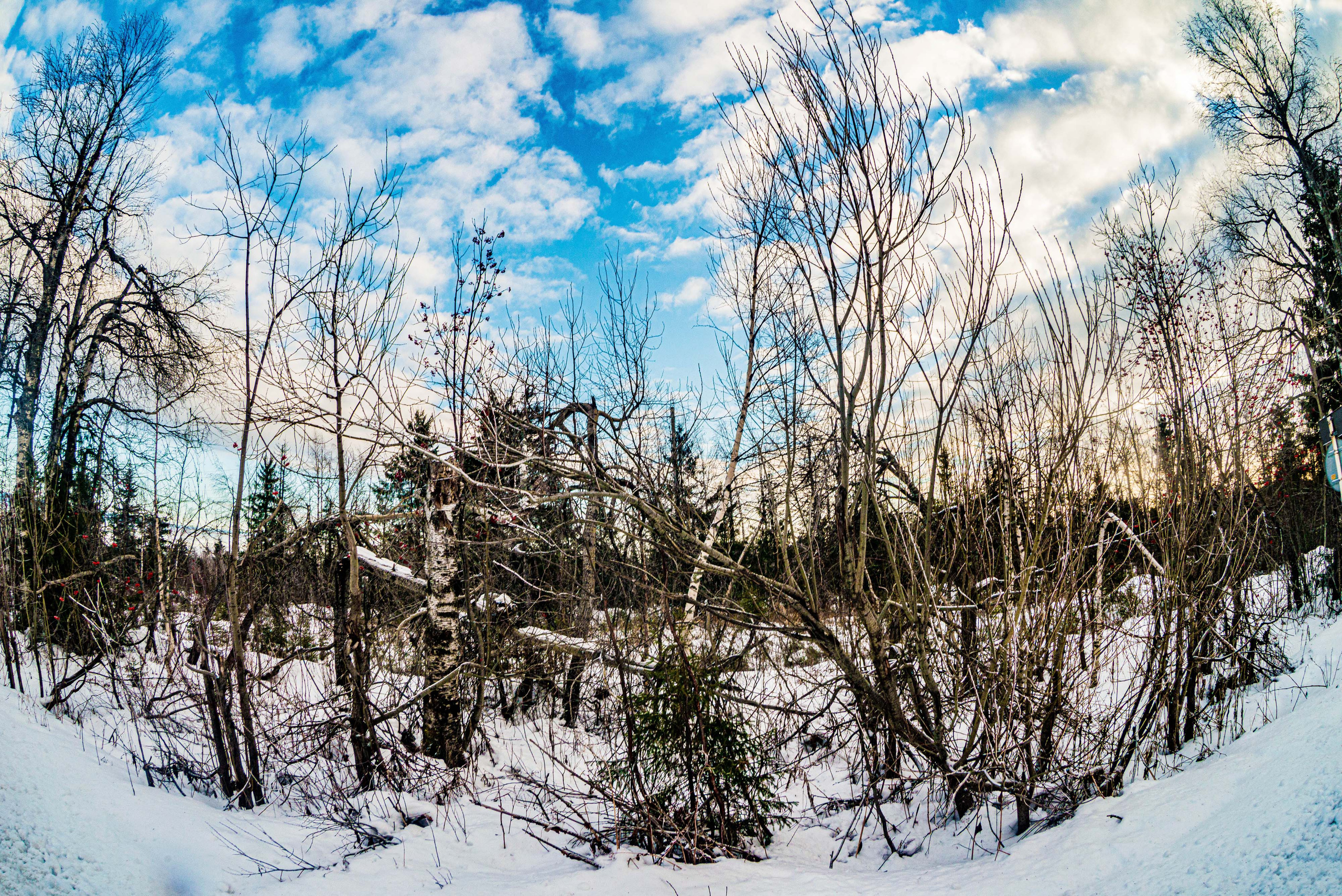 Каменный город, Губаха, Пермский край. Свадебный фотограф на Урале Виктор Соколов