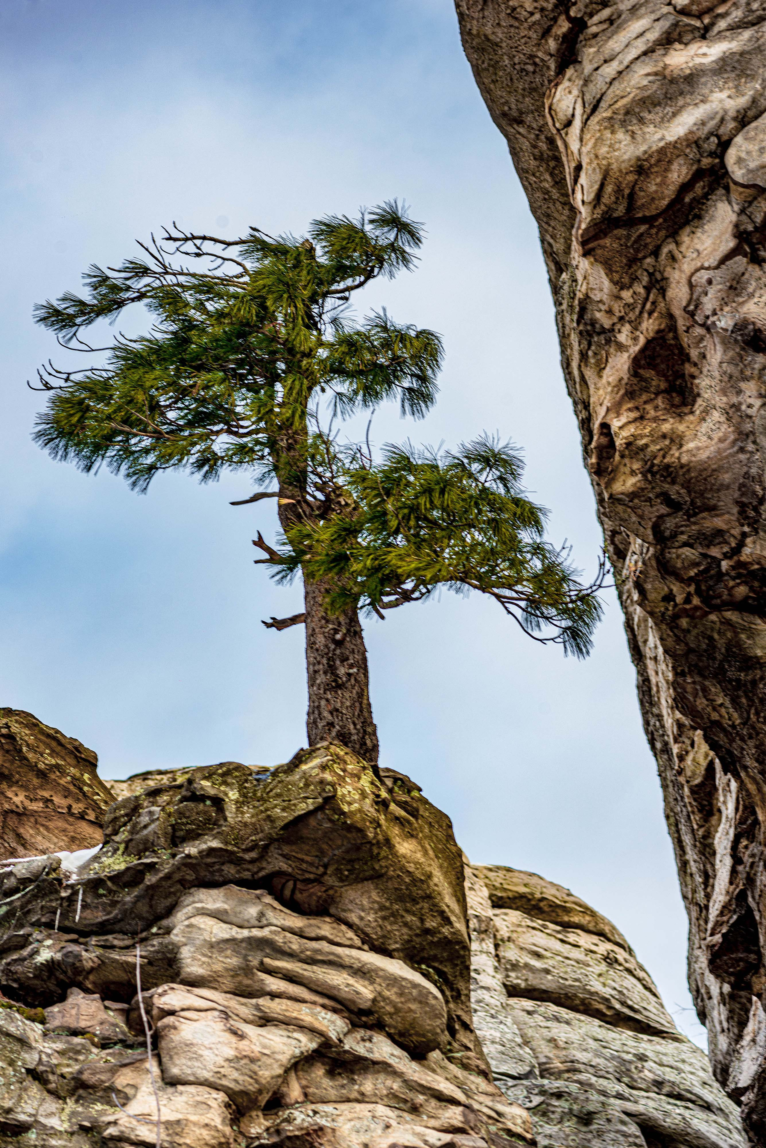 Каменный город, Губаха, Пермский край. Свадебный фотограф на Урале Виктор Соколов