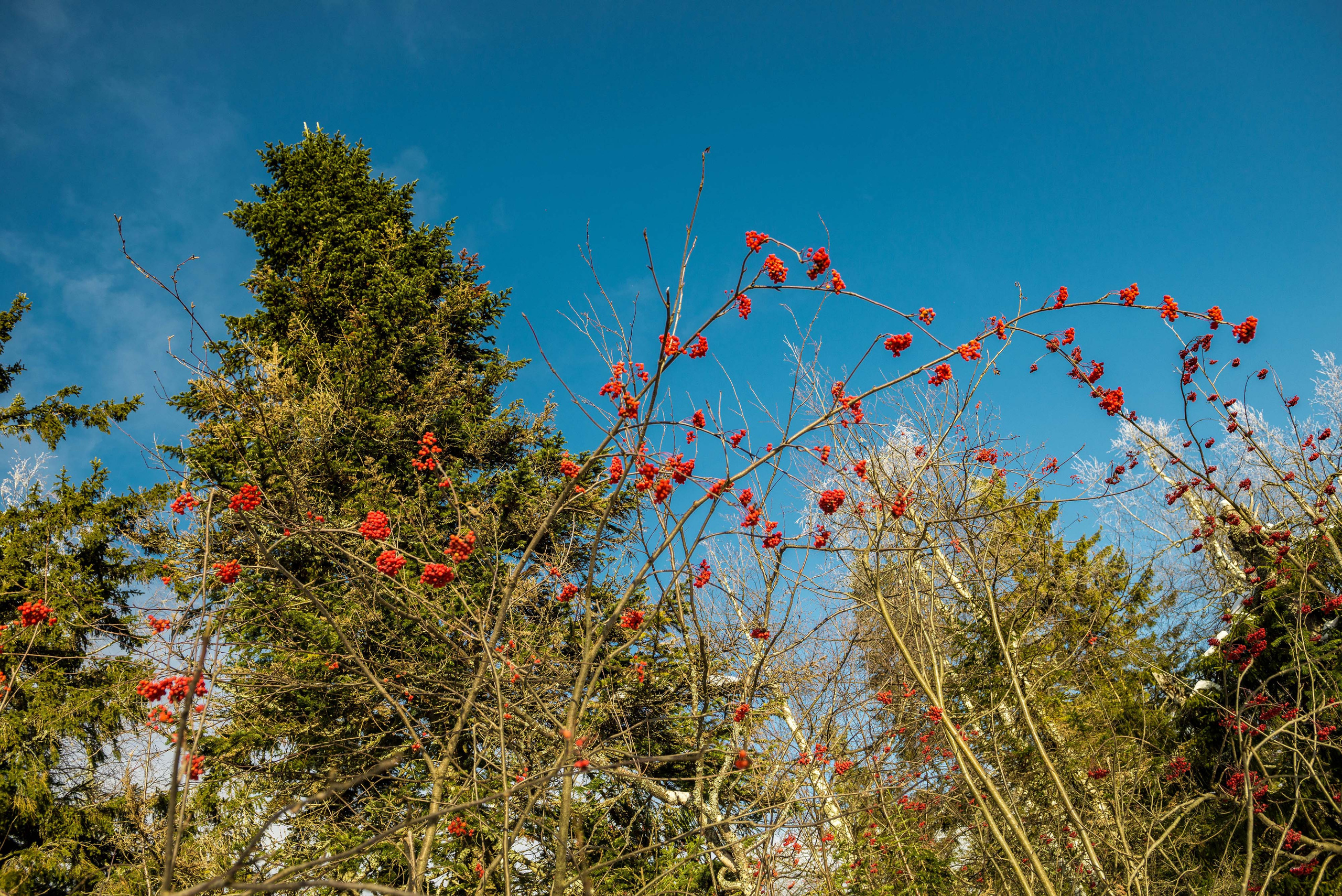 Каменный город, Губаха, Пермский край. Свадебный фотограф на Урале Виктор Соколов