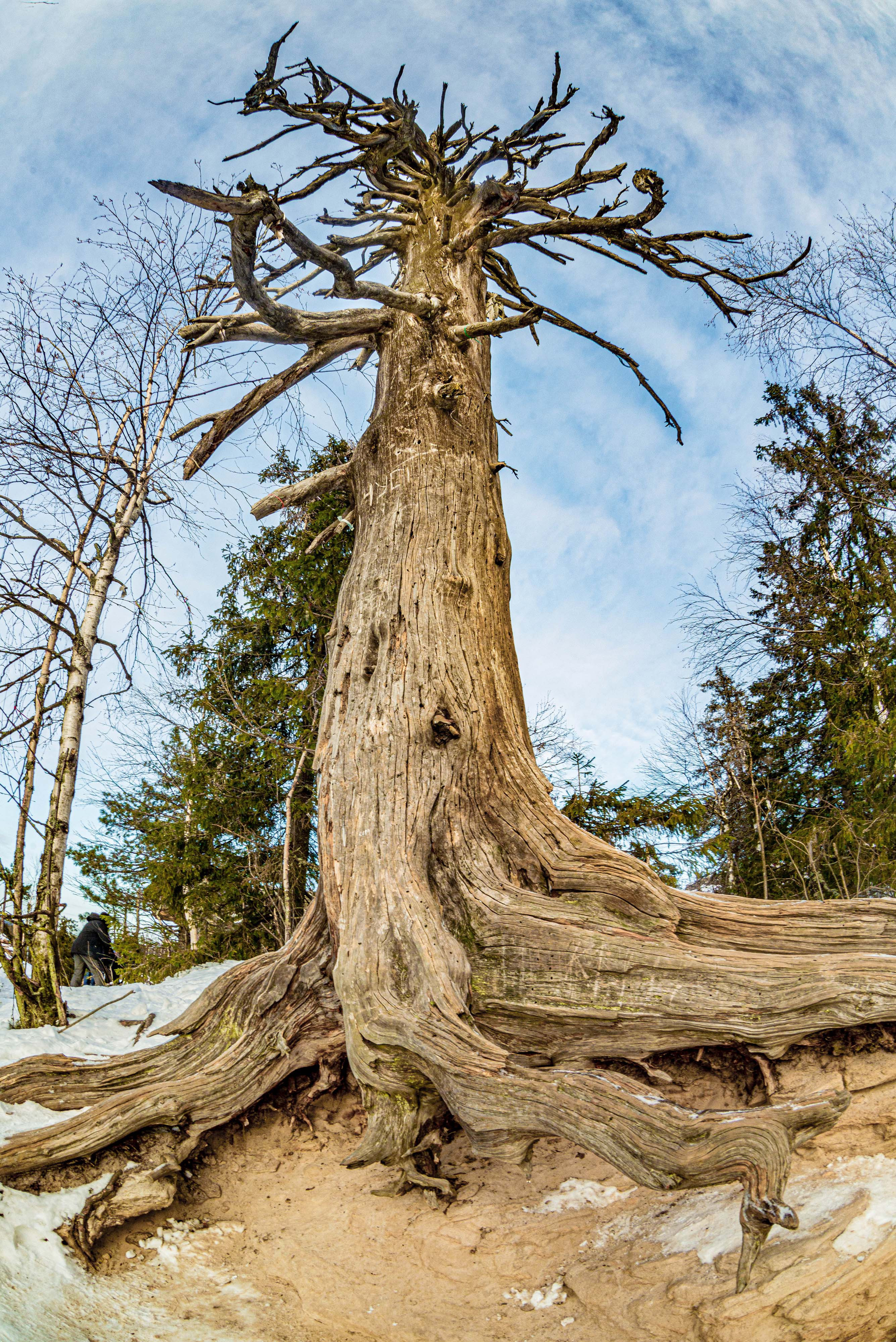 Каменный город, Губаха, Пермский край. Свадебный фотограф на Урале Виктор Соколов