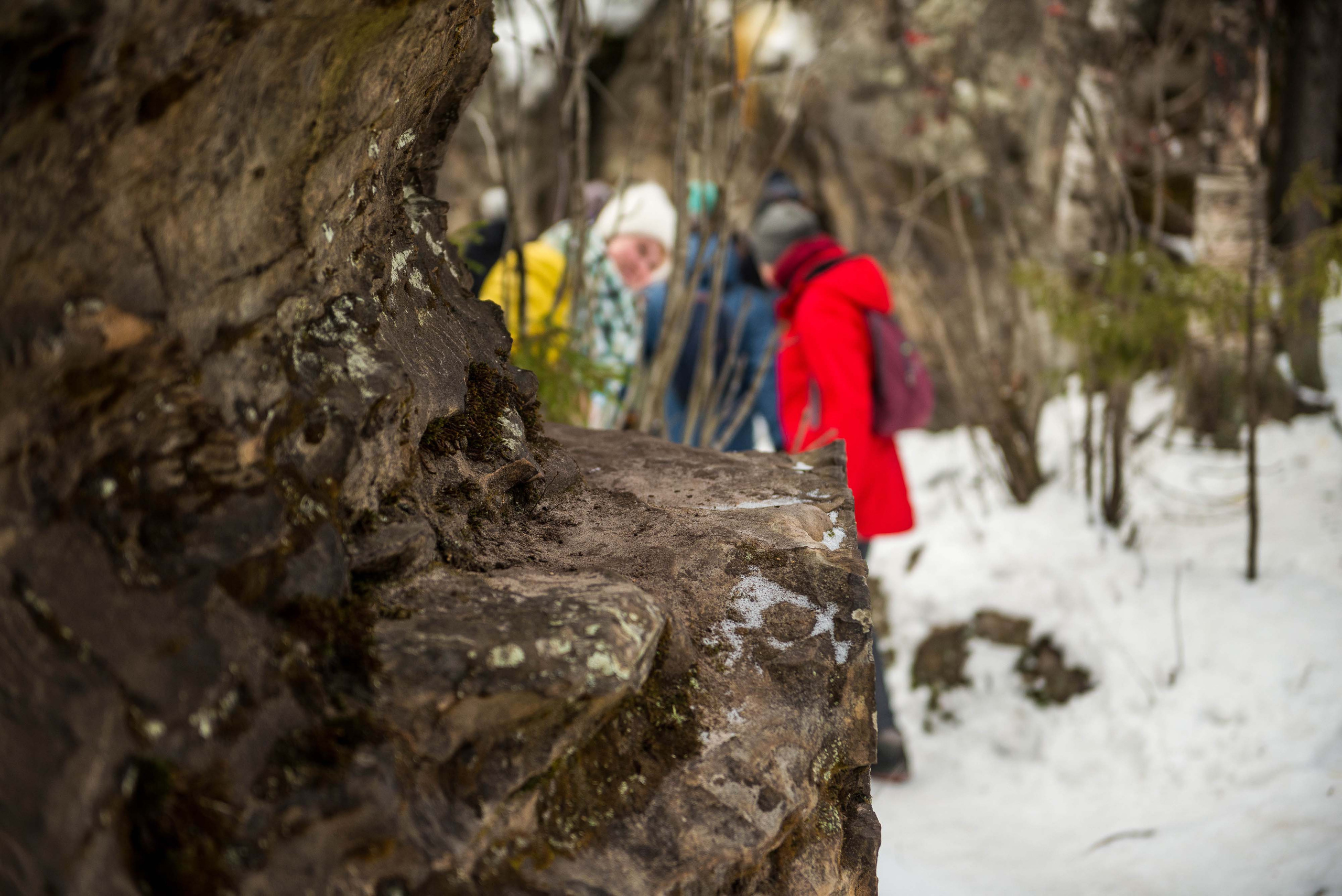 Каменный город, Губаха, Пермский край. Свадебный фотограф на Урале Виктор Соколов