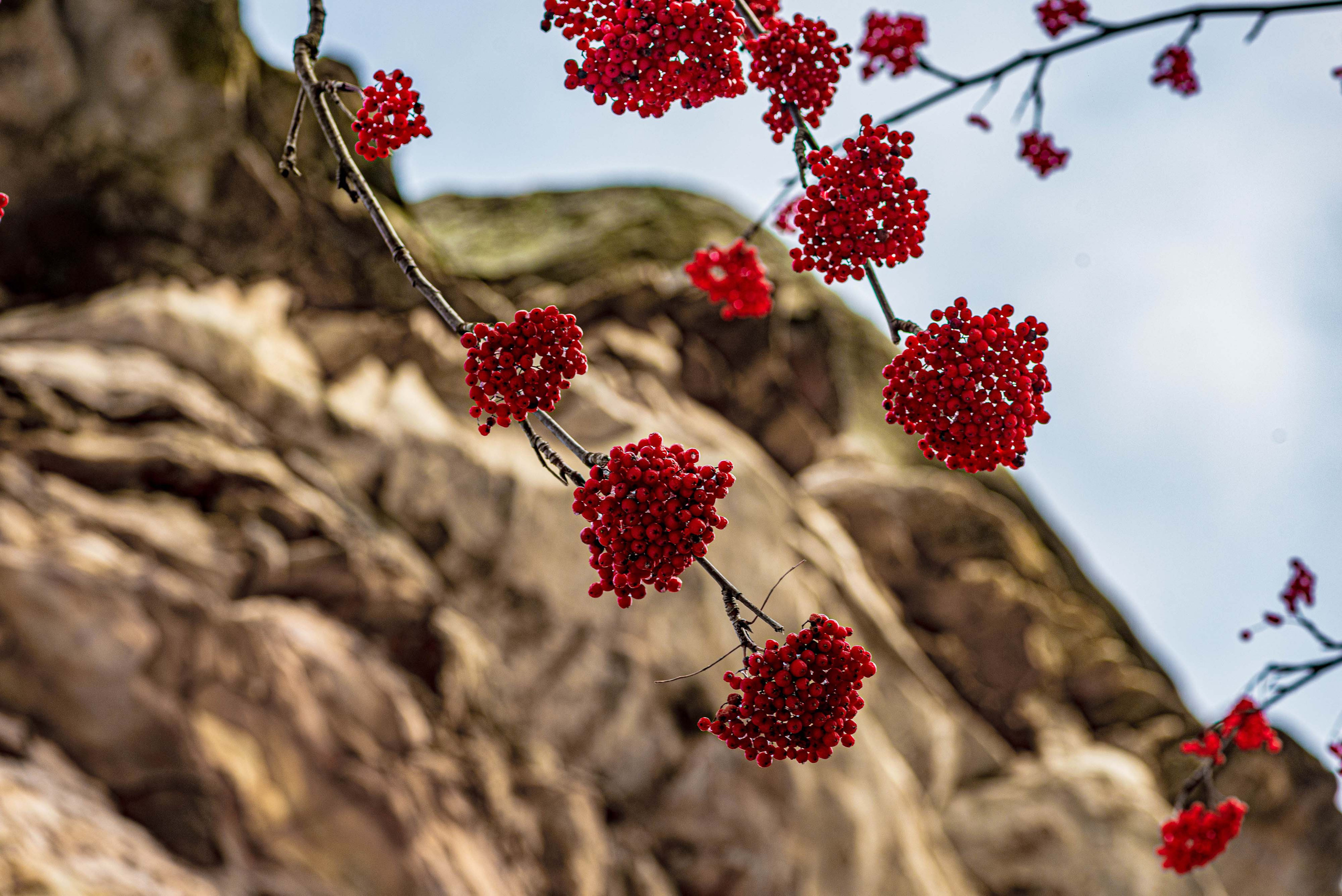 Каменный город, Губаха, Пермский край. Свадебный фотограф на Урале Виктор Соколов