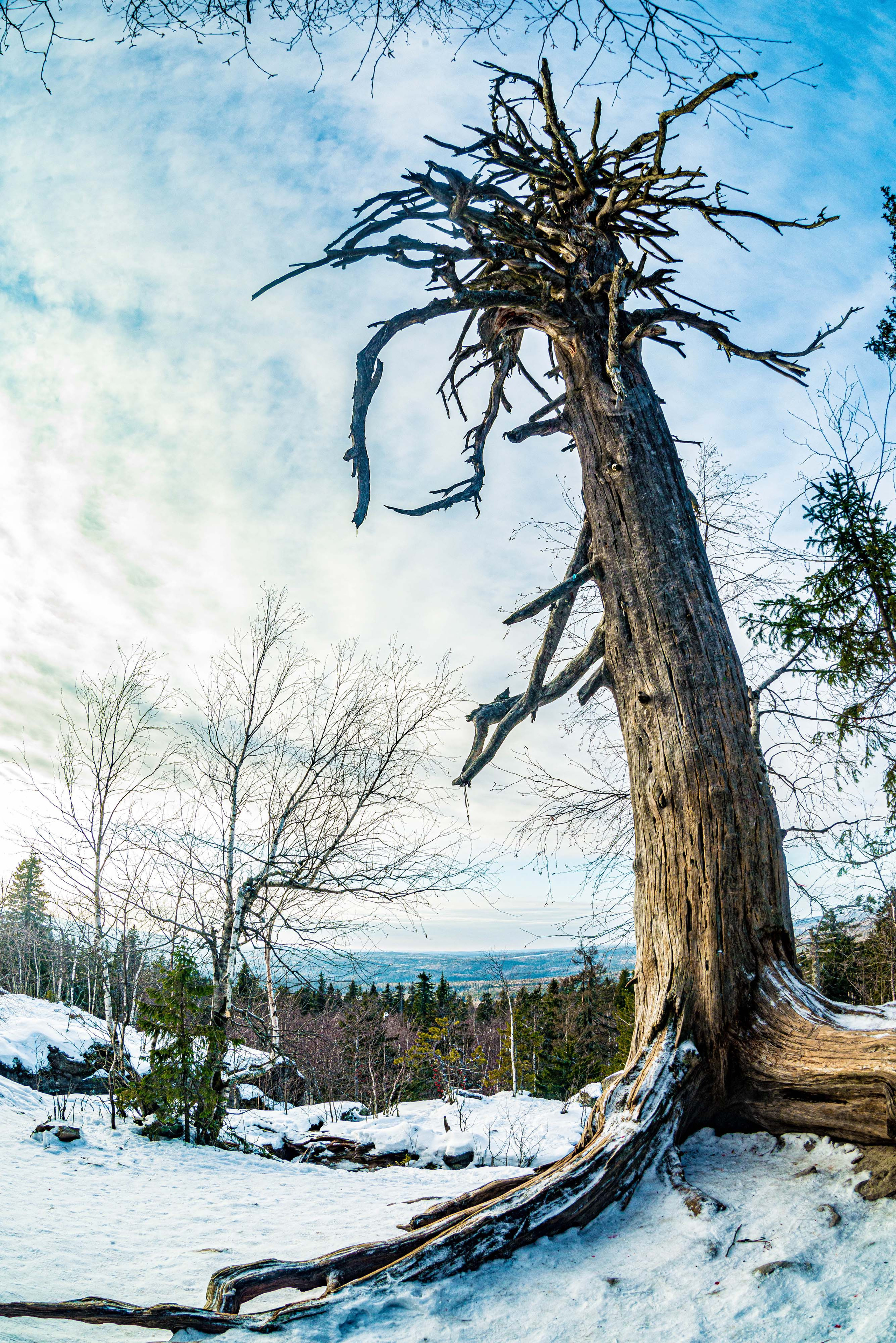 Каменный город, Губаха, Пермский край. Свадебный фотограф на Урале Виктор Соколов
