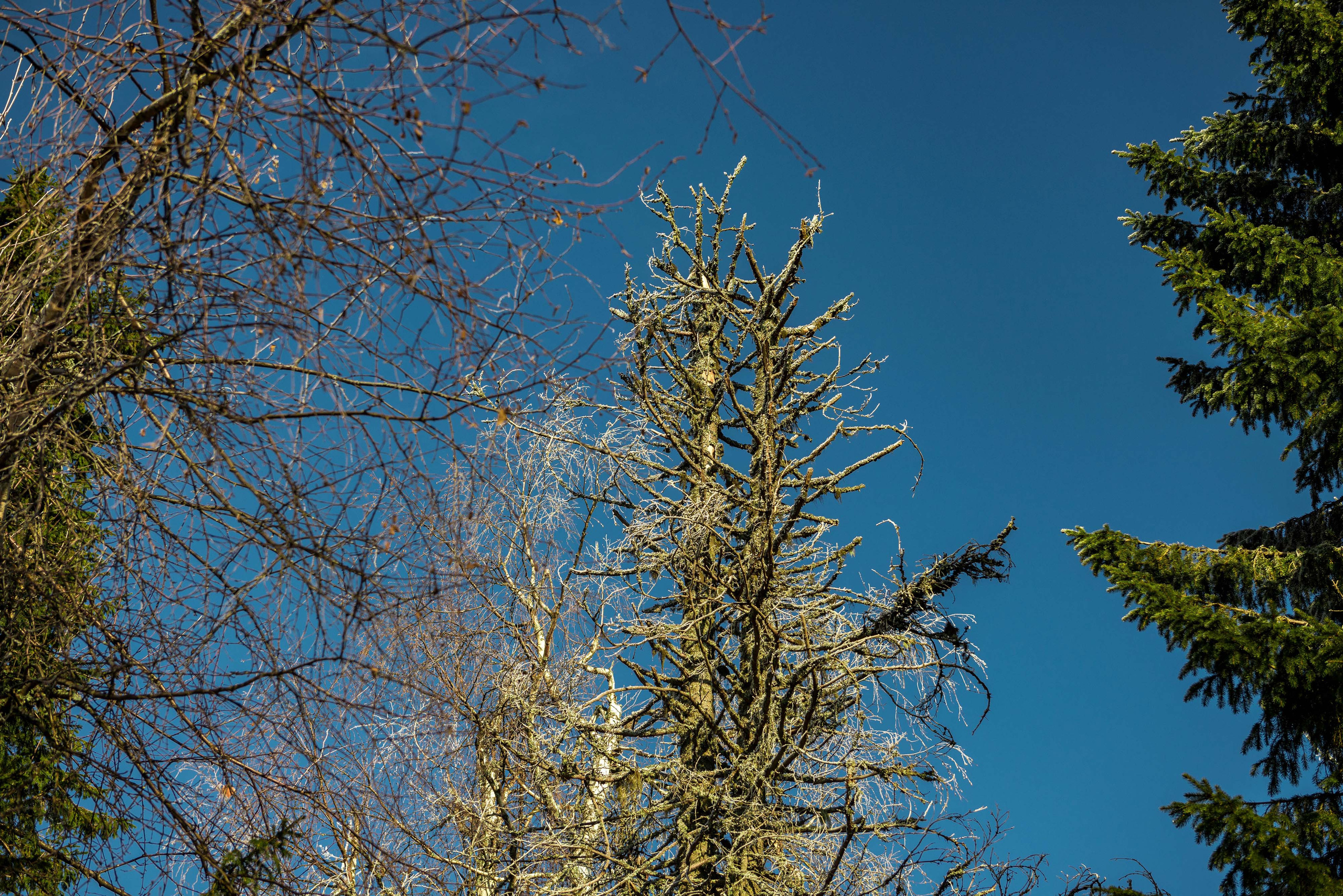Каменный город, Губаха, Пермский край. Свадебный фотограф на Урале Виктор Соколов