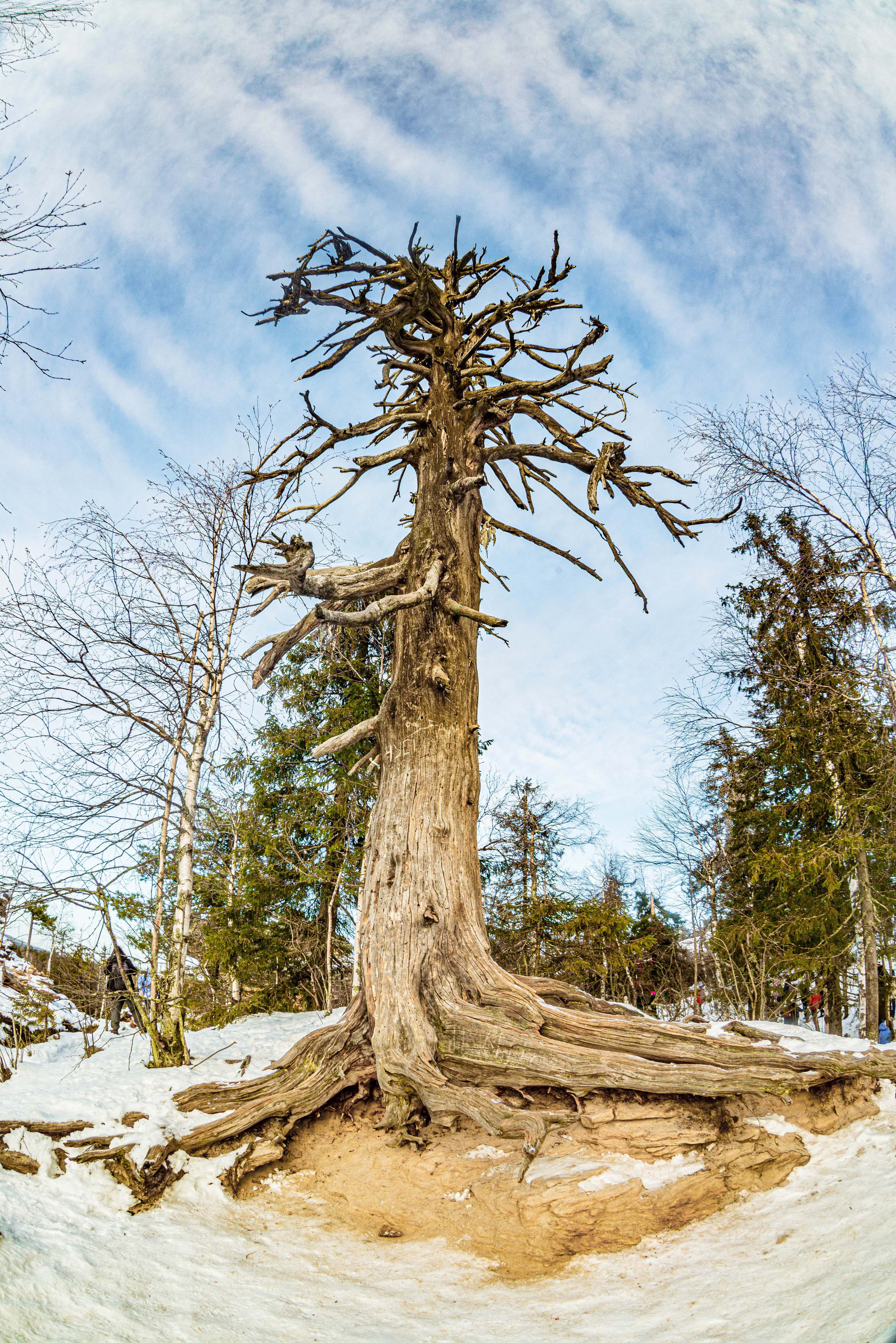 Каменный город, Губаха, Пермский край. Свадебный фотограф на Урале Виктор Соколов