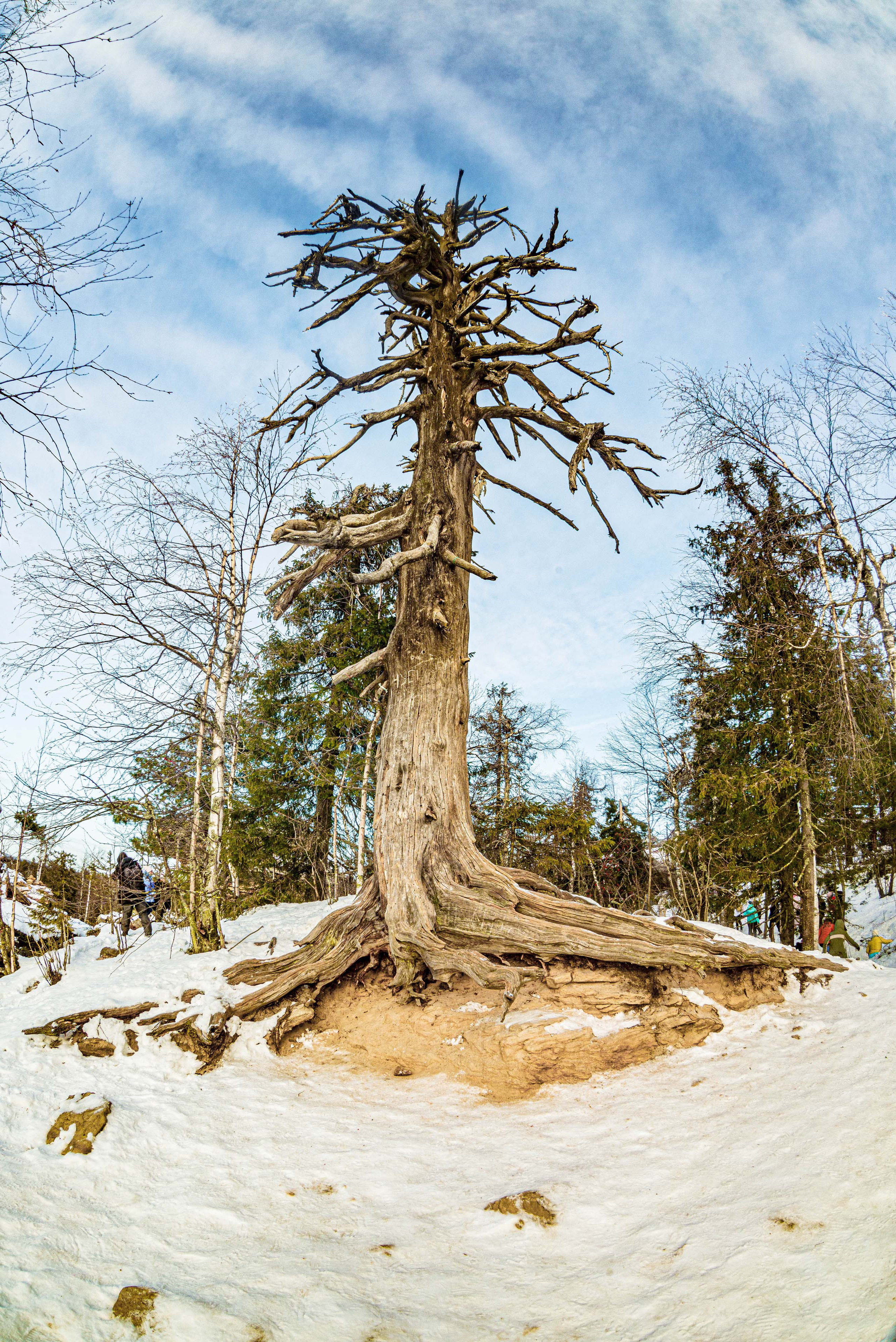 Каменный город, Губаха, Пермский край. Свадебный фотограф на Урале Виктор Соколов