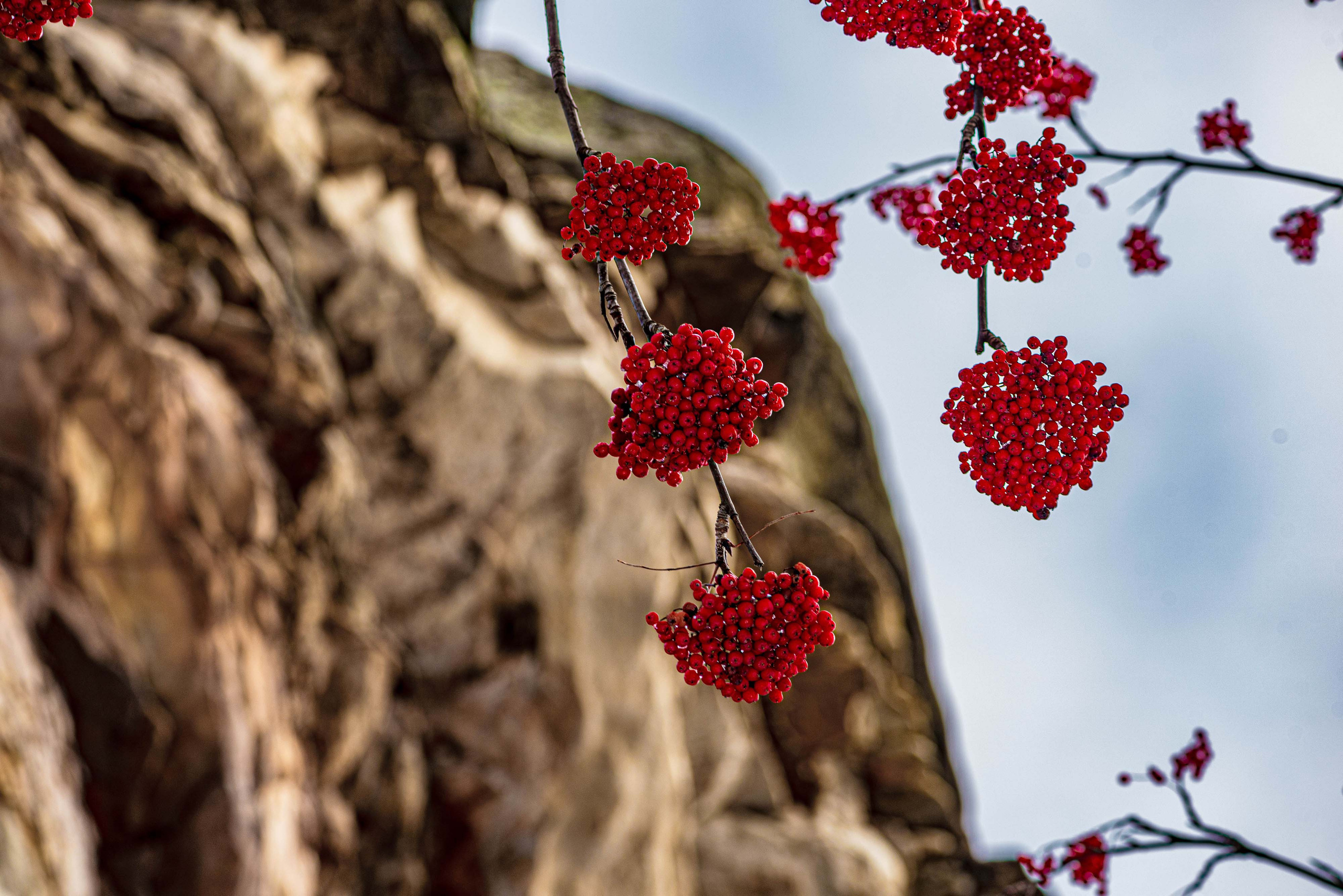 Каменный город, Губаха, Пермский край. Свадебный фотограф на Урале Виктор Соколов