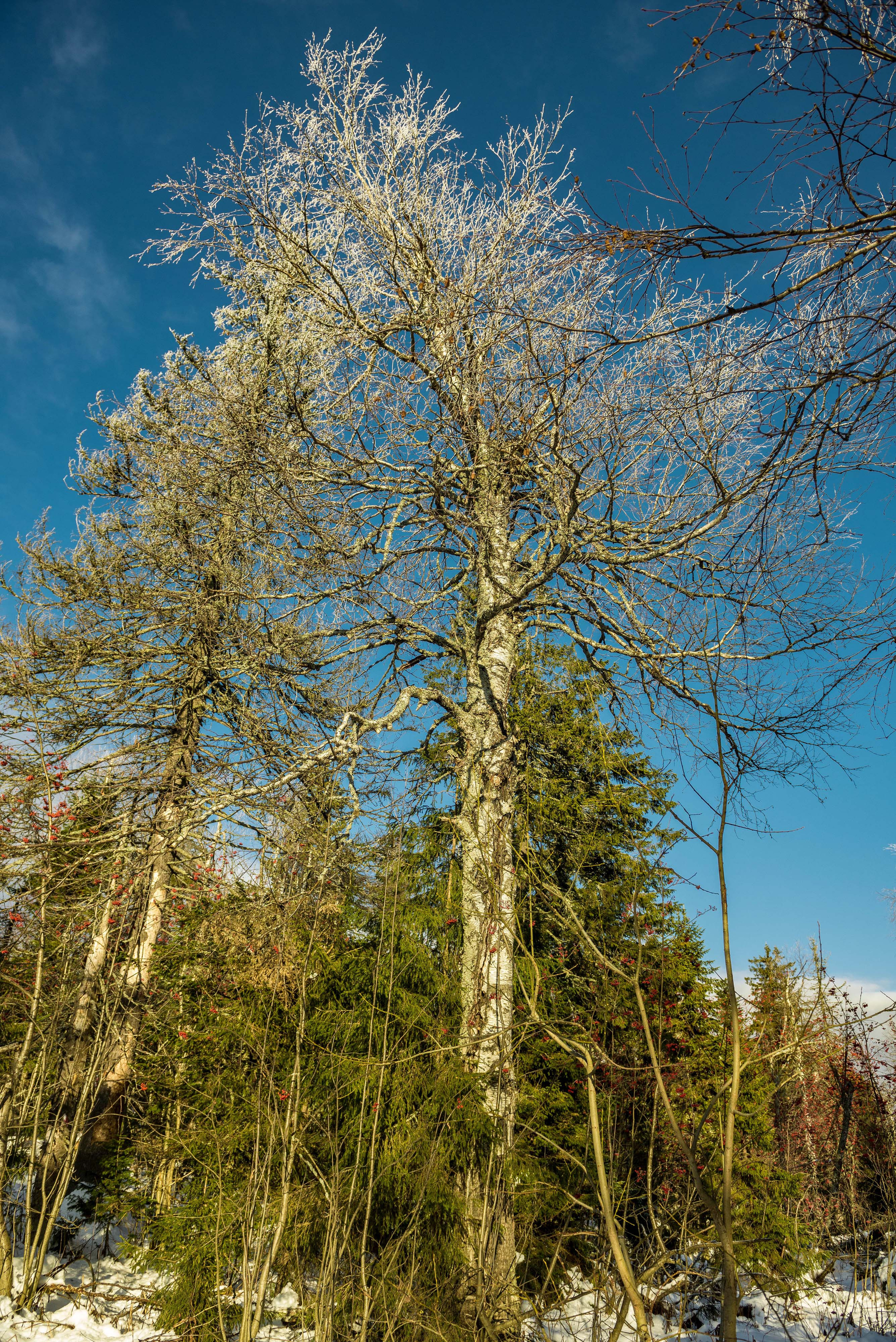 Каменный город, Губаха, Пермский край. Свадебный фотограф на Урале Виктор Соколов