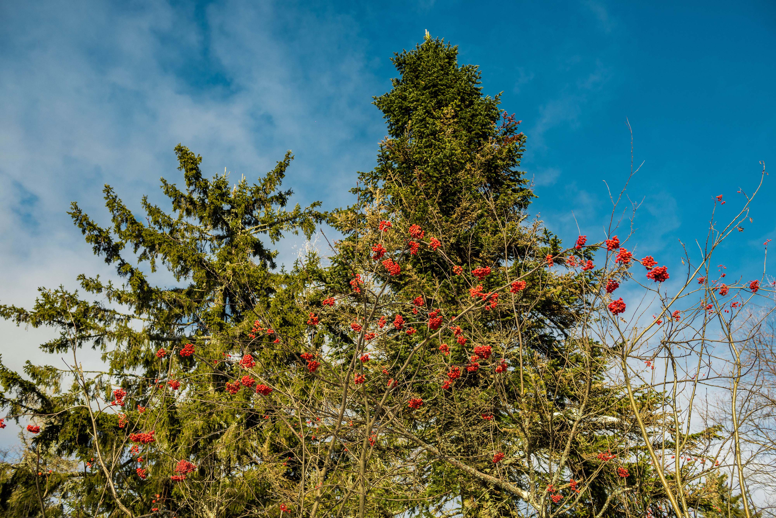 Каменный город, Губаха, Пермский край. Свадебный фотограф на Урале Виктор Соколов
