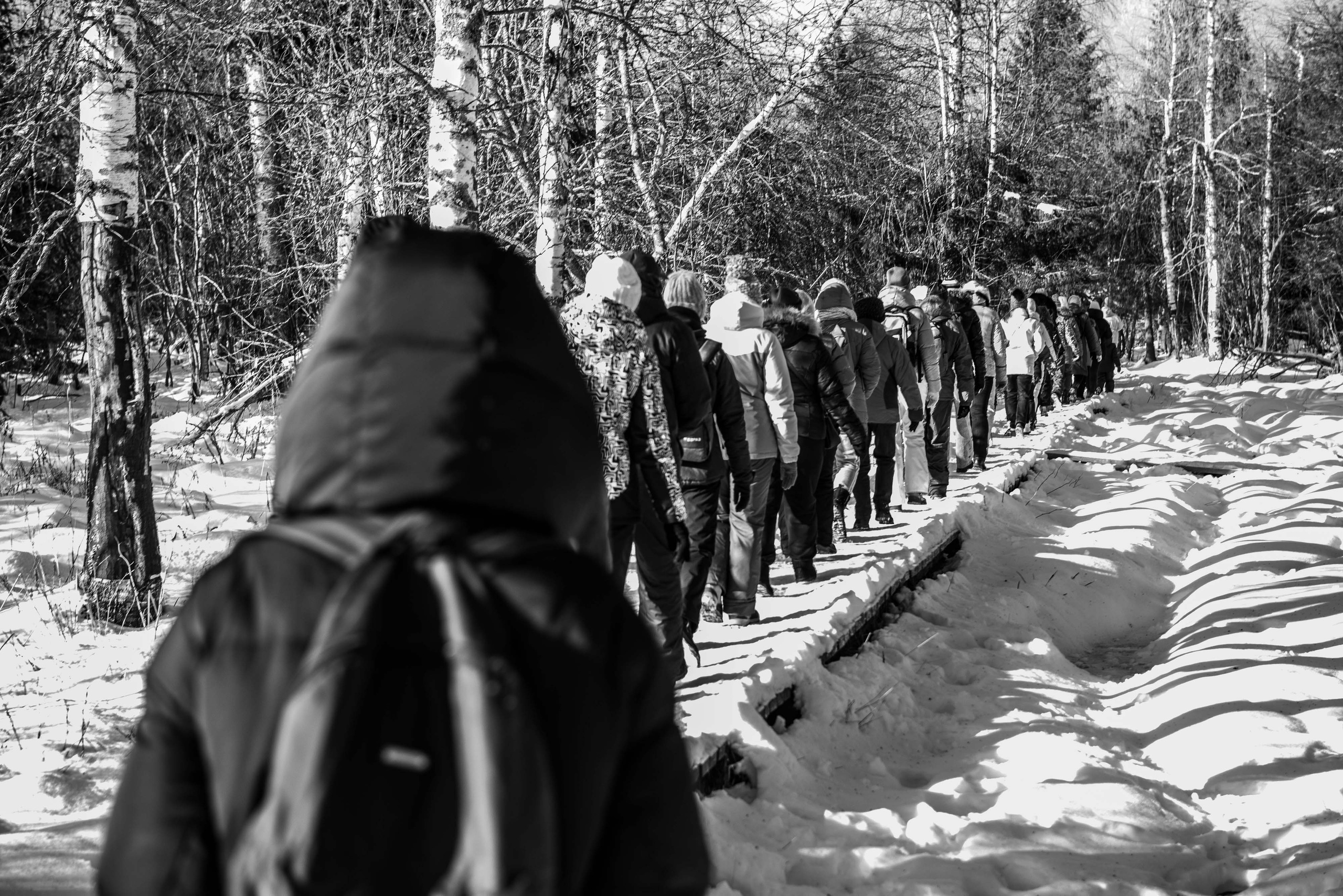 Каменный город, Губаха, Пермский край. Свадебный фотограф на Урале Виктор Соколов