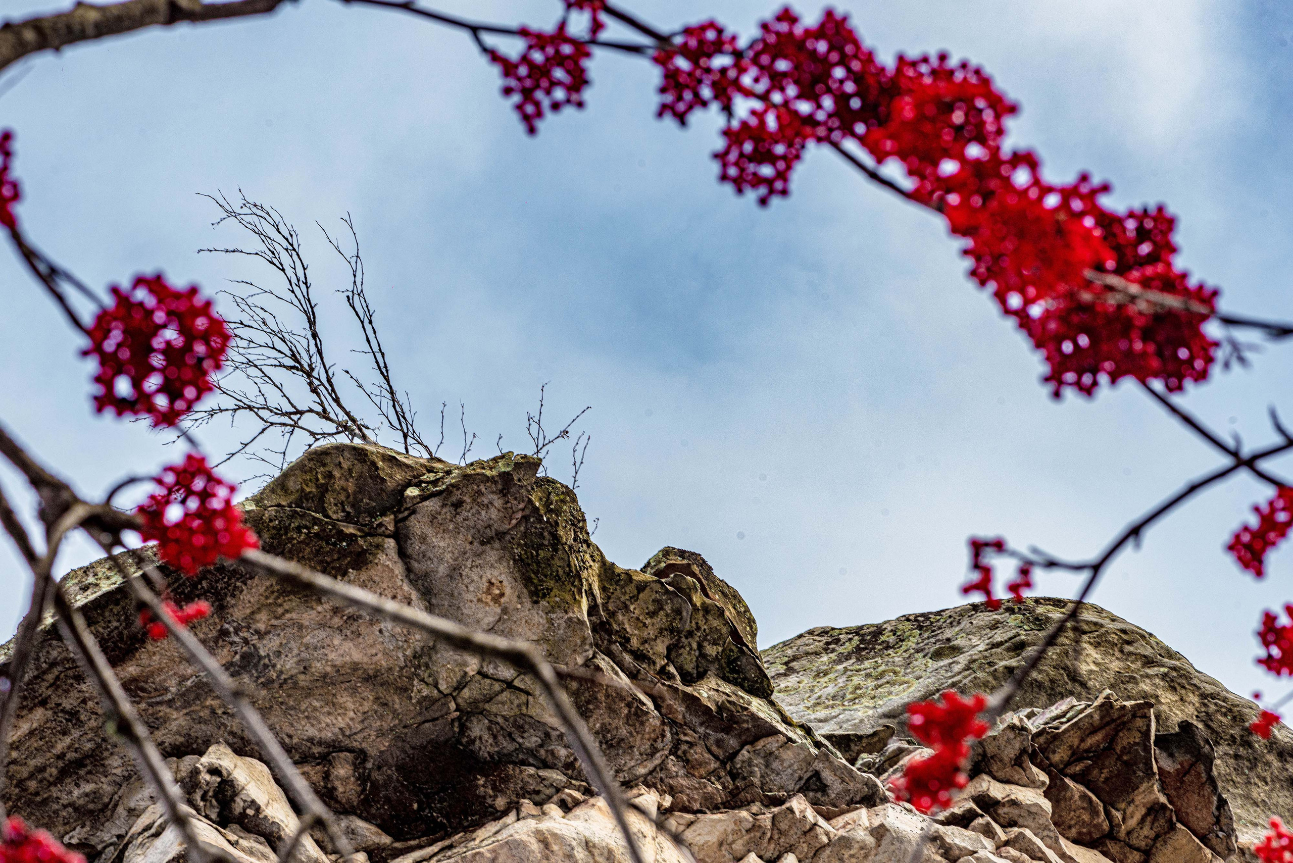 Каменный город, Губаха, Пермский край. Свадебный фотограф на Урале Виктор Соколов