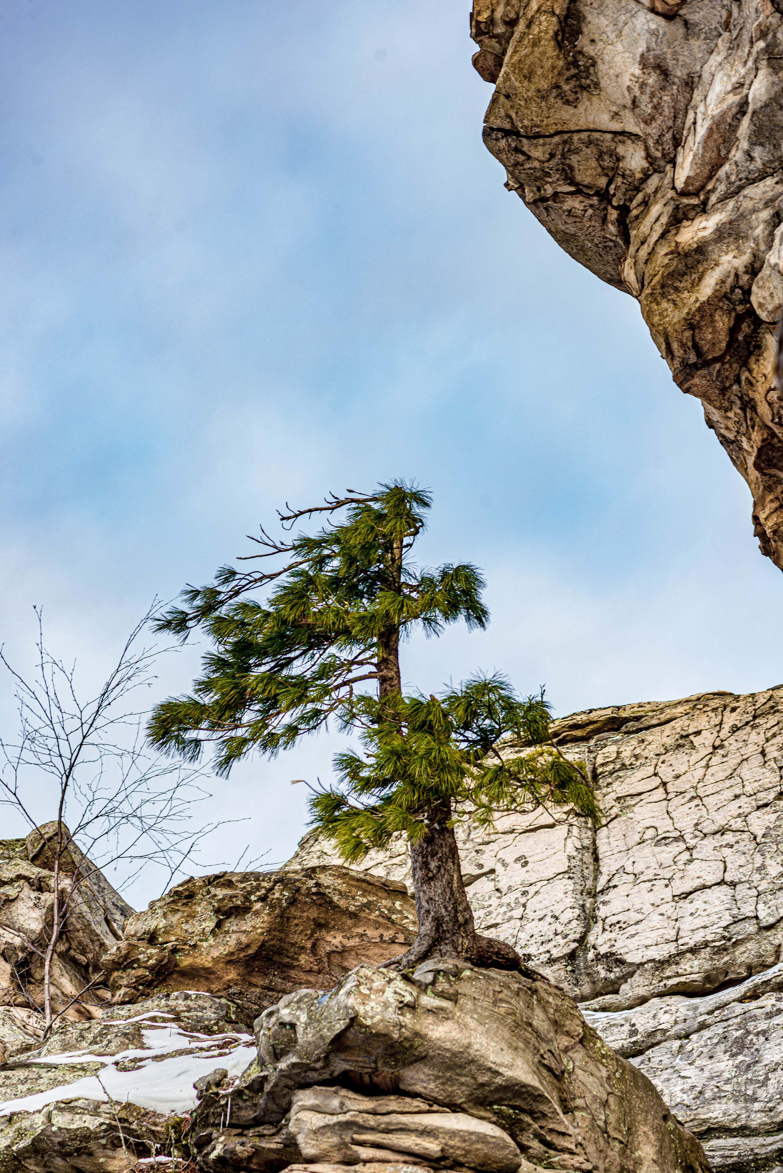 Каменный город, Губаха, Пермский край. Свадебный фотограф на Урале Виктор Соколов