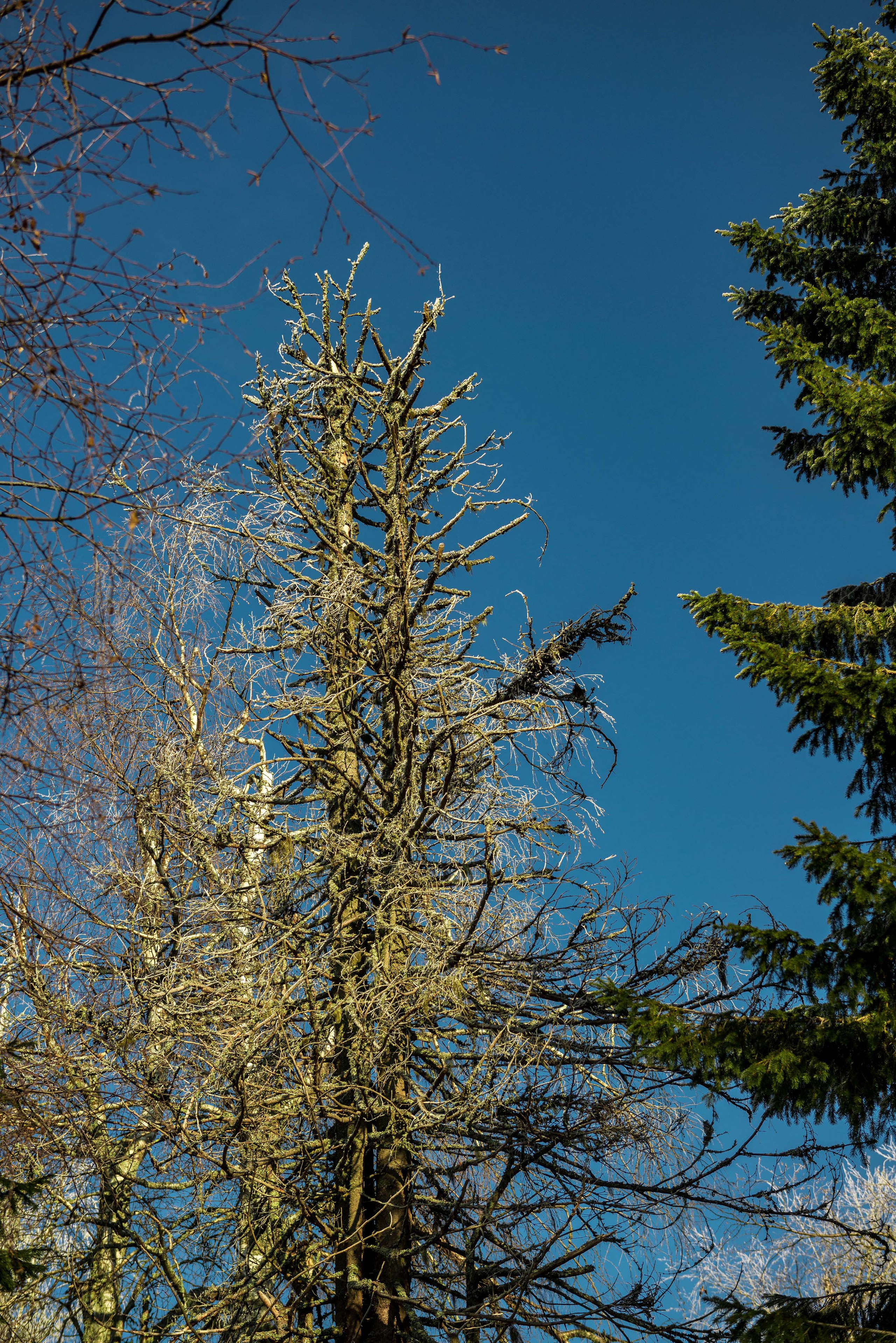 Каменный город, Губаха, Пермский край. Свадебный фотограф на Урале Виктор Соколов