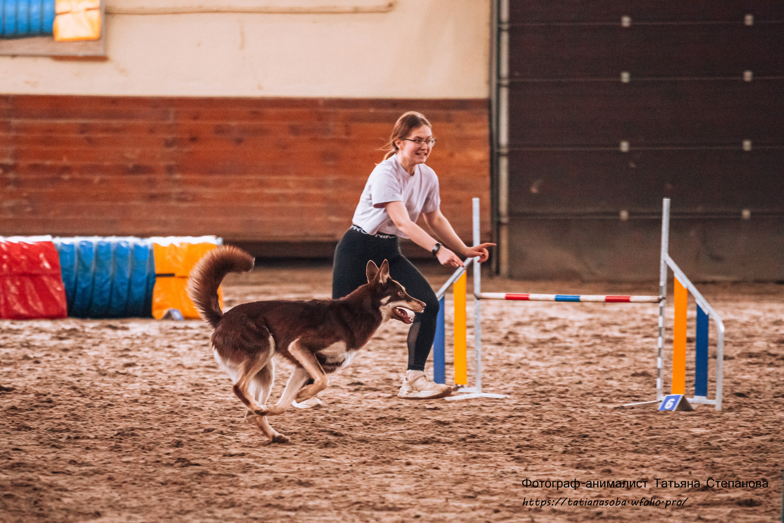 Соревнования по Аджилити 25.02.2024. Фотограф-анималист Татьяна Степанова