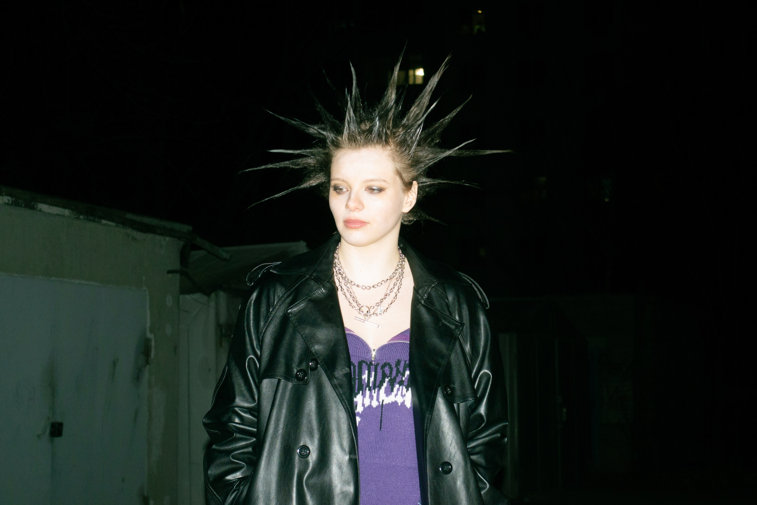 Гошок жив?. Костенко Анна pdie