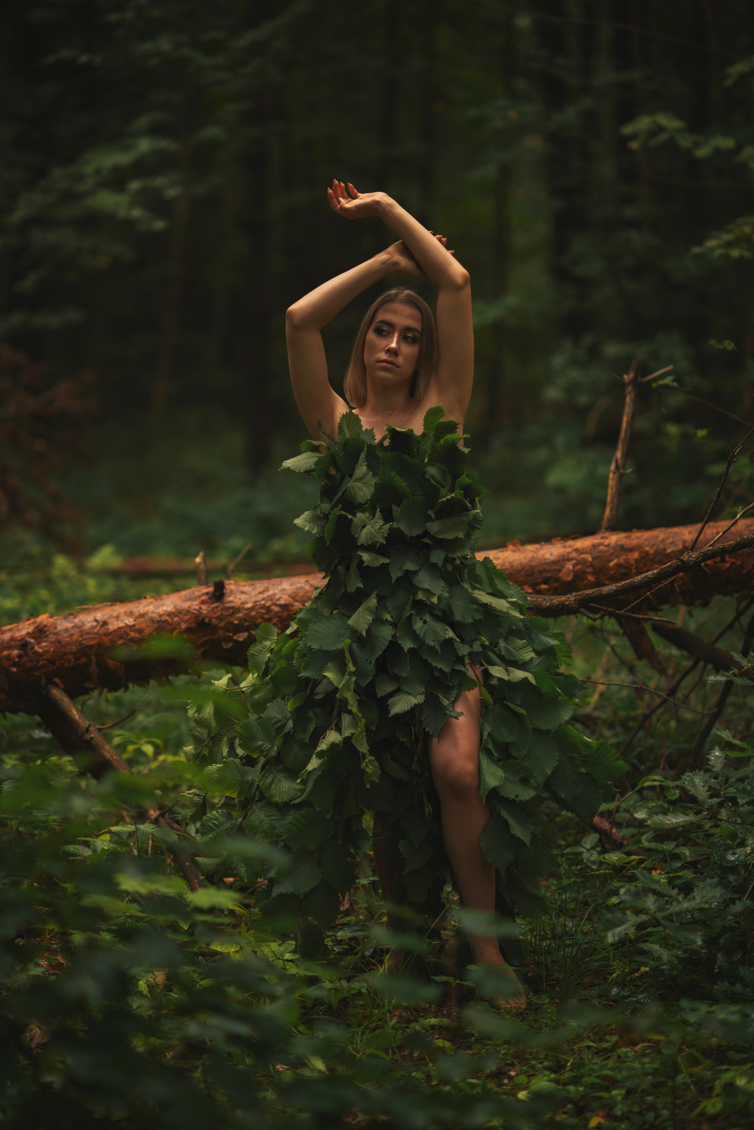 Лесная сказка