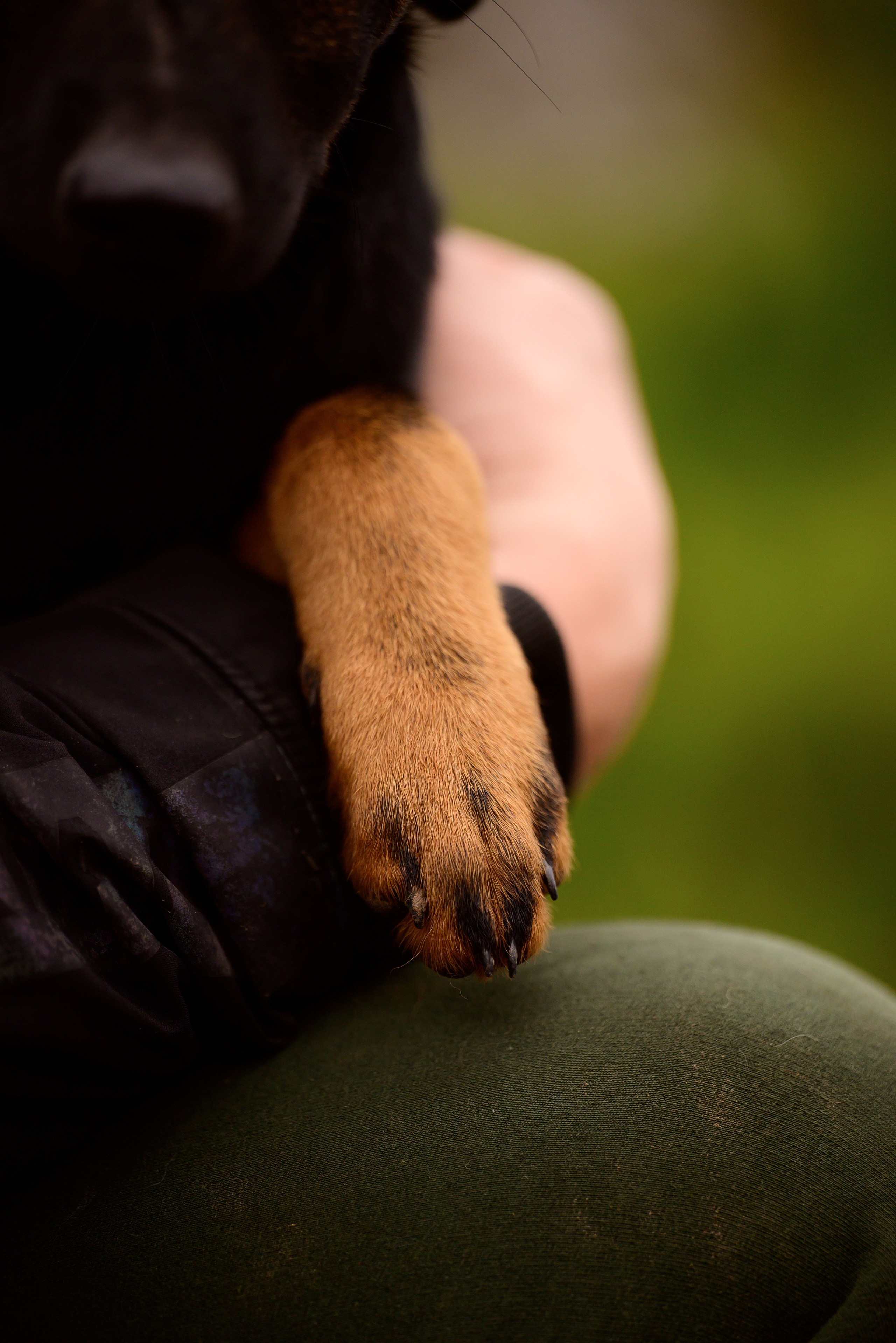 Круассанчики. Мила Астахова