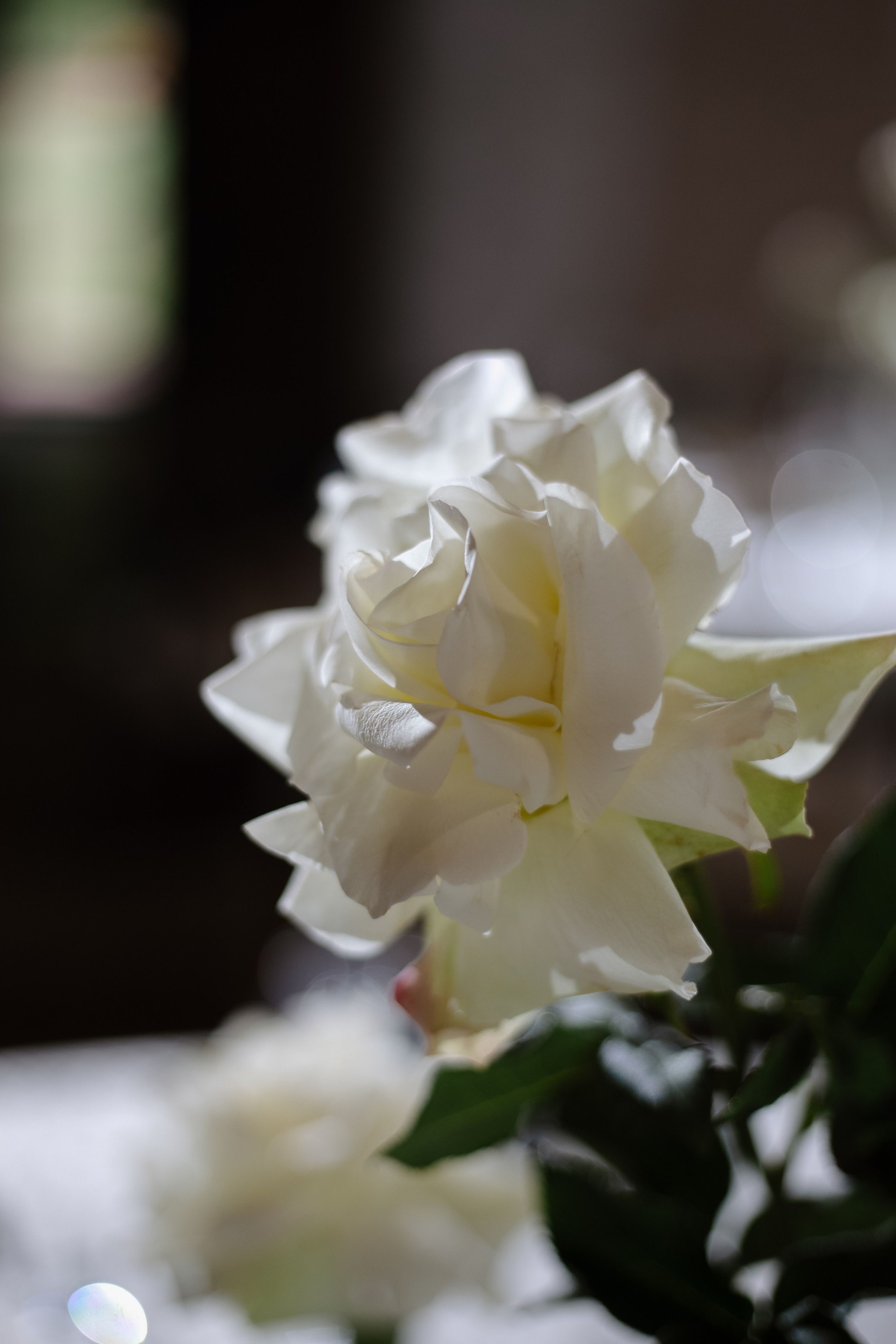 Maria & Alexey. Фотограф в Минске — Юлия Деяк. Фотосессии в Минске