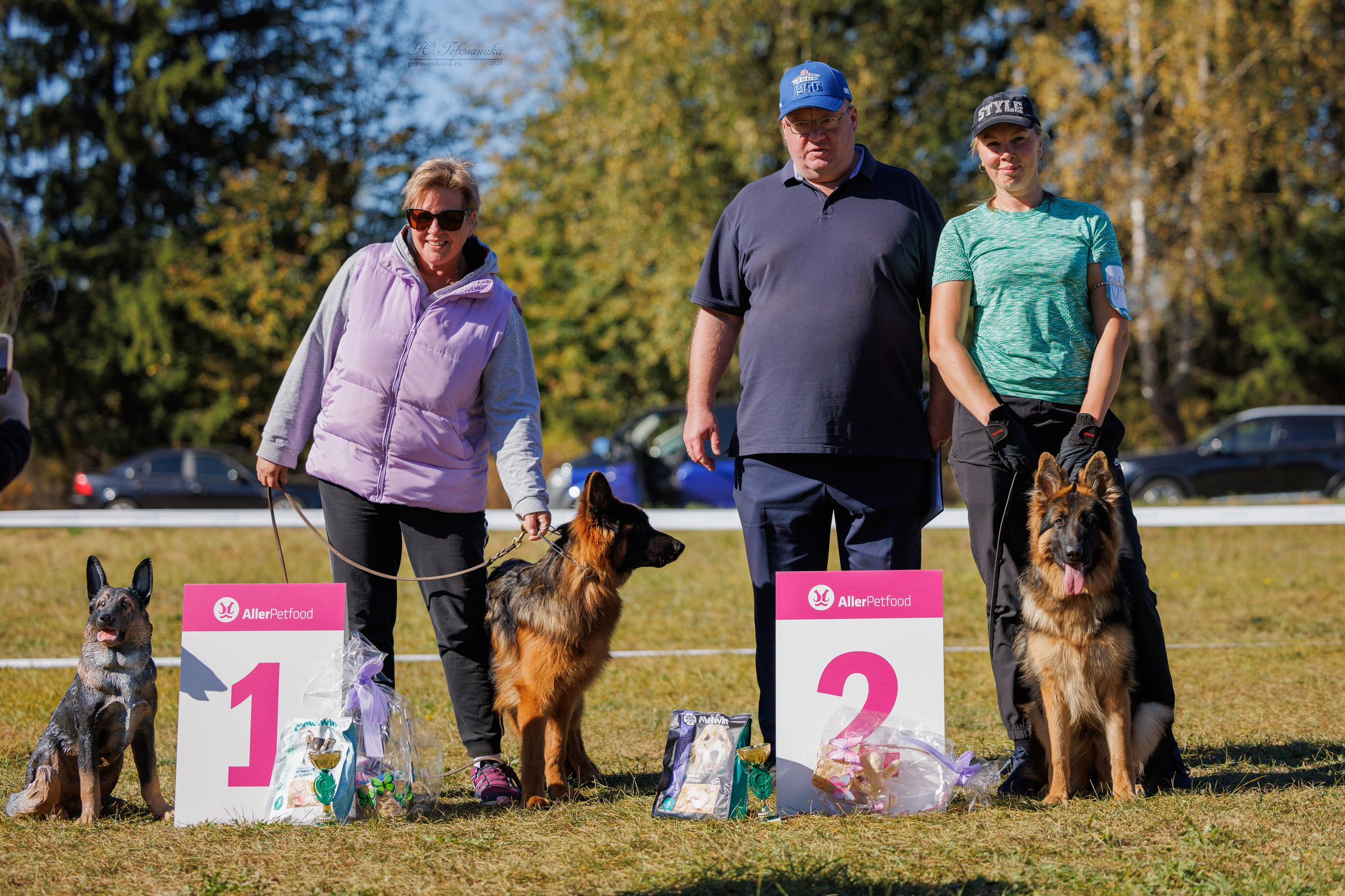 Тверь немецкие овчарки 22.09.2024. Фотограф-анималист Юлия Германика