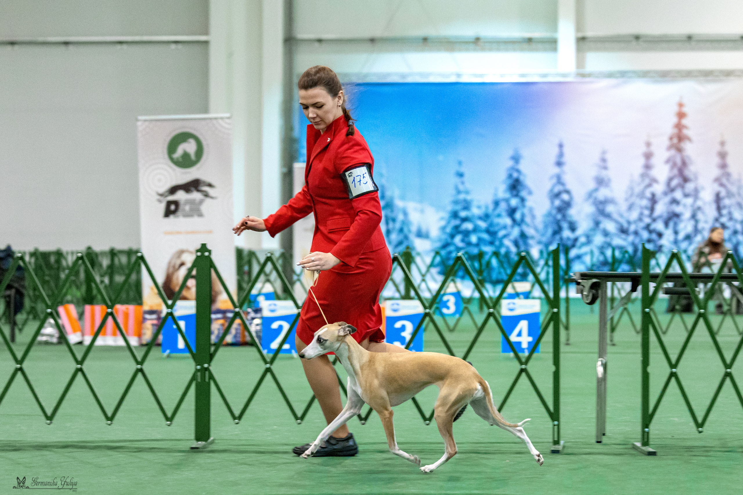 Крокус 3,9 и 10.12.2023. Фотограф-анималист Юлия Германика