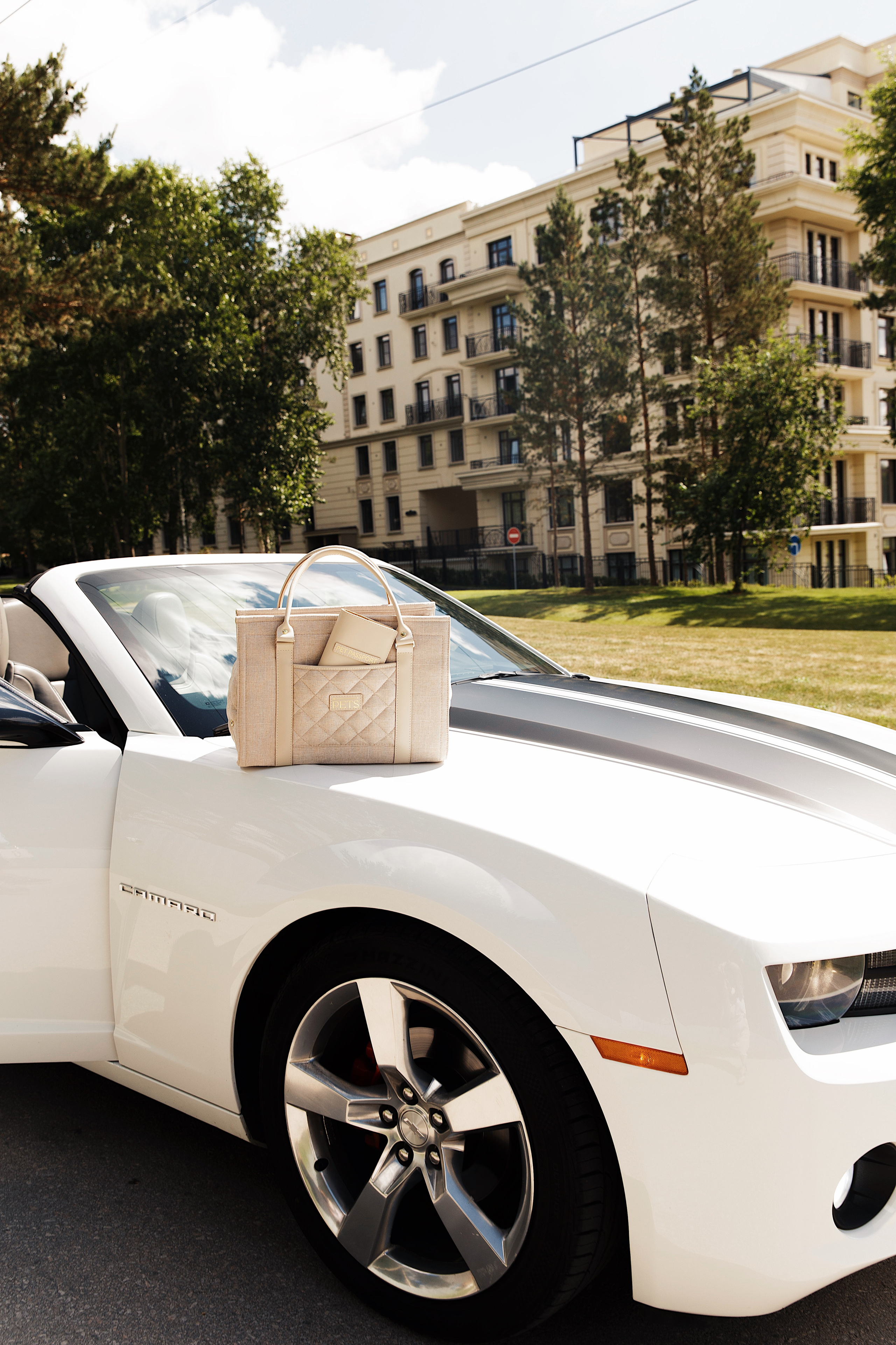 FOR PETS BRAND. Коммерческий фотограф для брендов в Москве