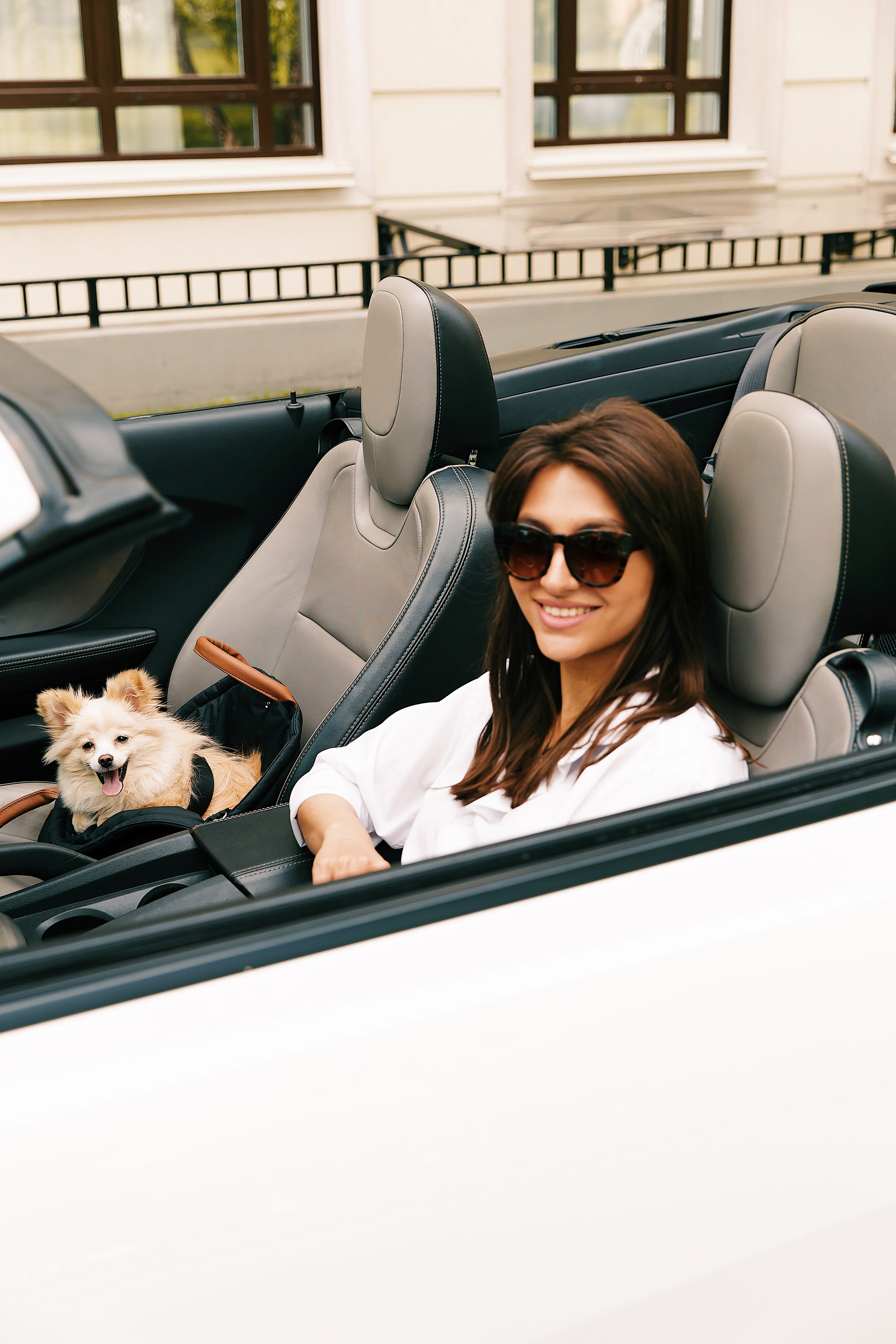 FOR PETS BRAND. Коммерческий фотограф для брендов в Москве