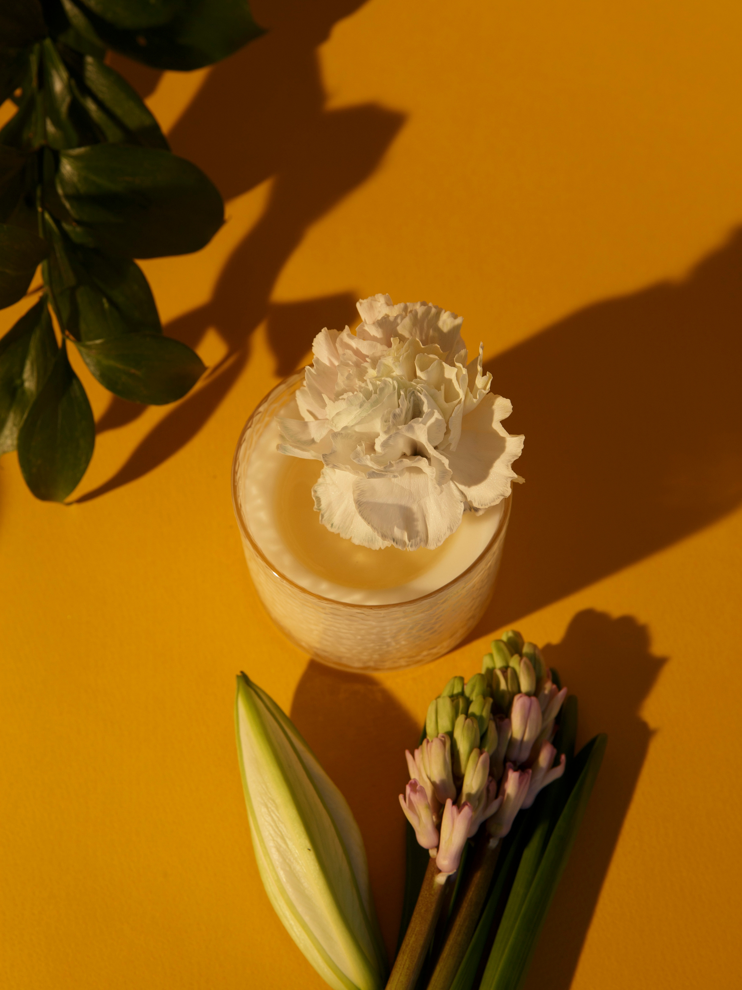 FEU. Коммерческий фотограф для брендов в Москве