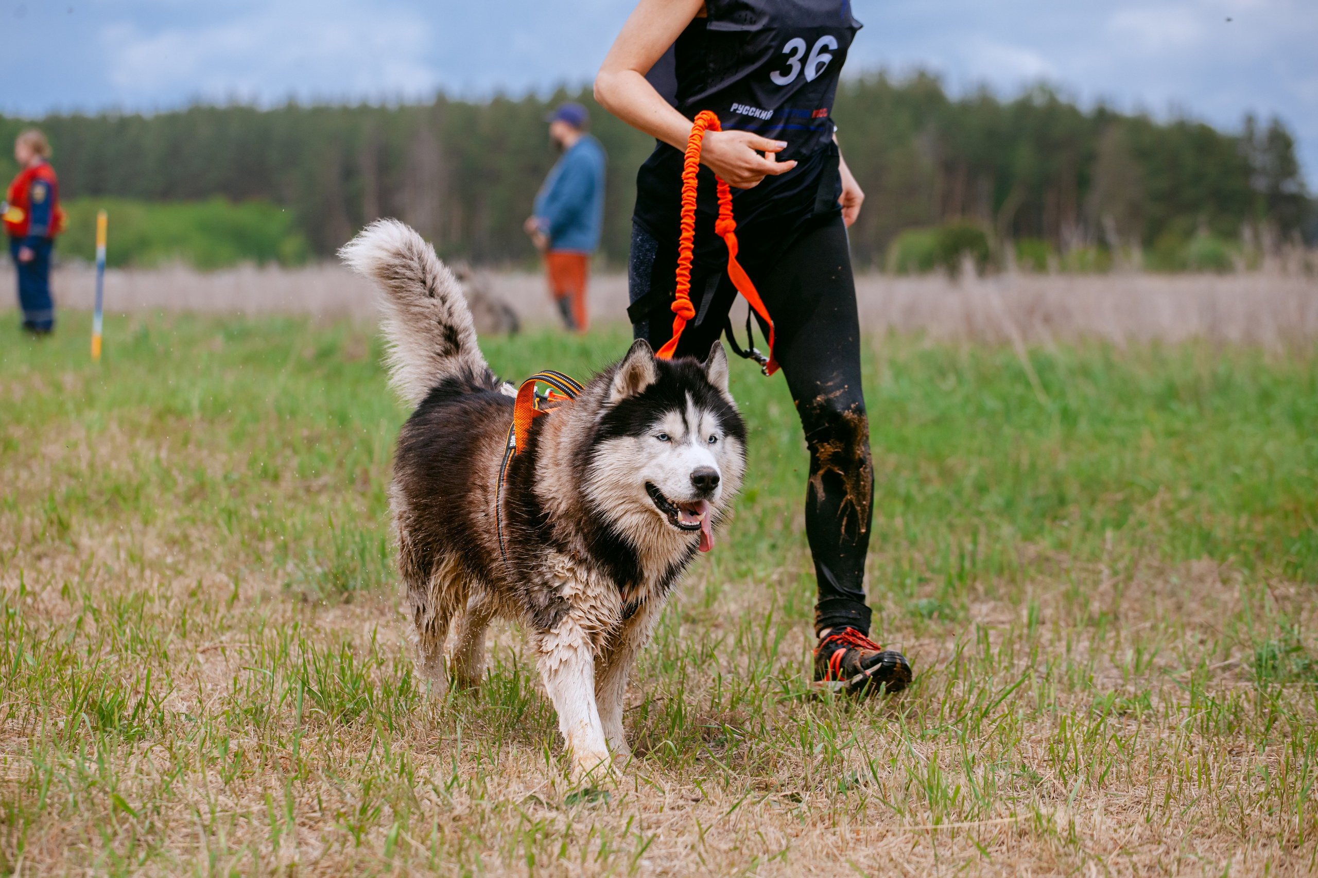 Русский экстрим кросс в Рязанской области 17.05.2025. Фотограф-анималист Татьяна Степанова
