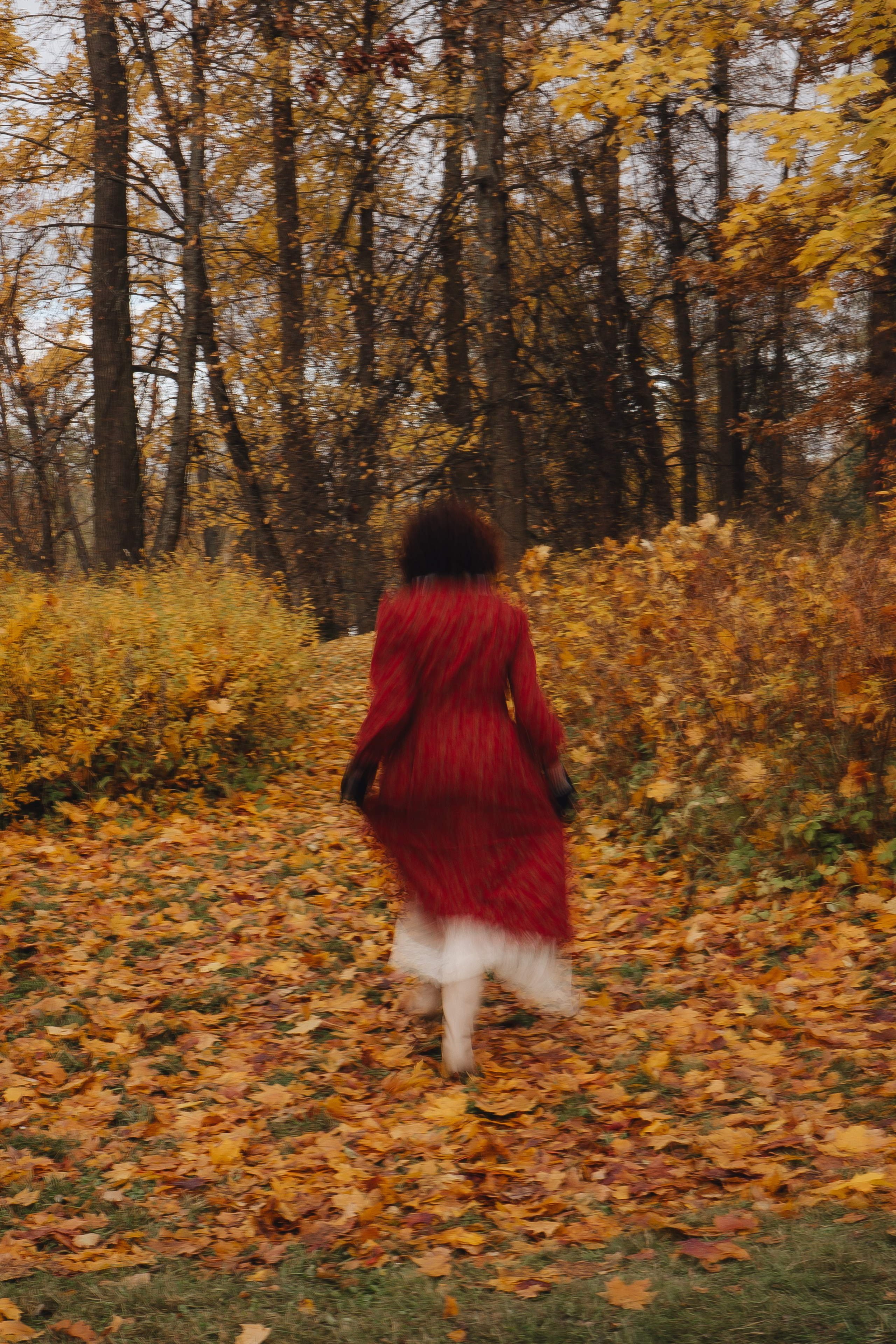 Осенний парк. Профессиональный фотограф, Санкт-Петербург — Виктория Богомолова