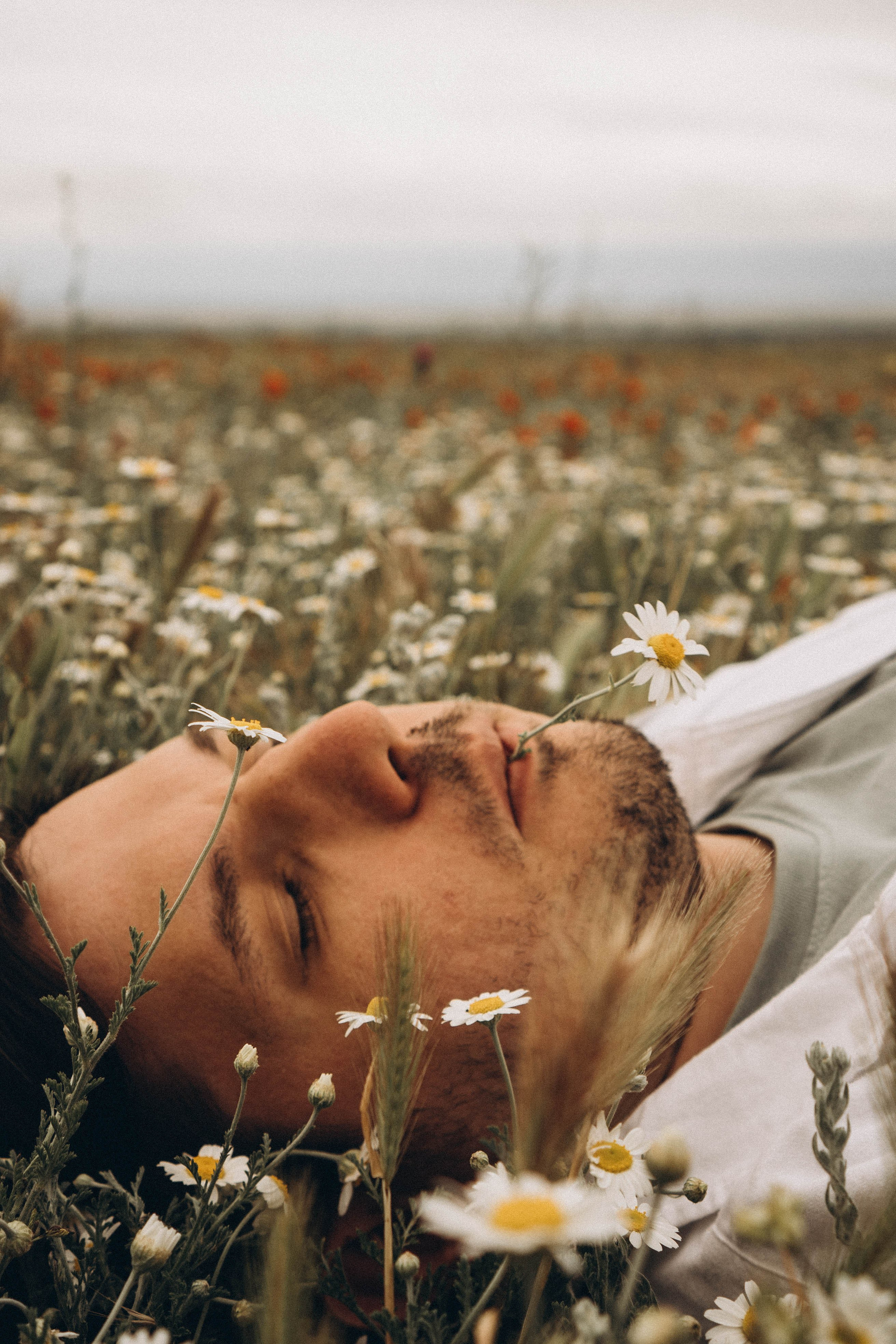 Маки. Профессиональный фотограф, Санкт-Петербург — Виктория Богомолова