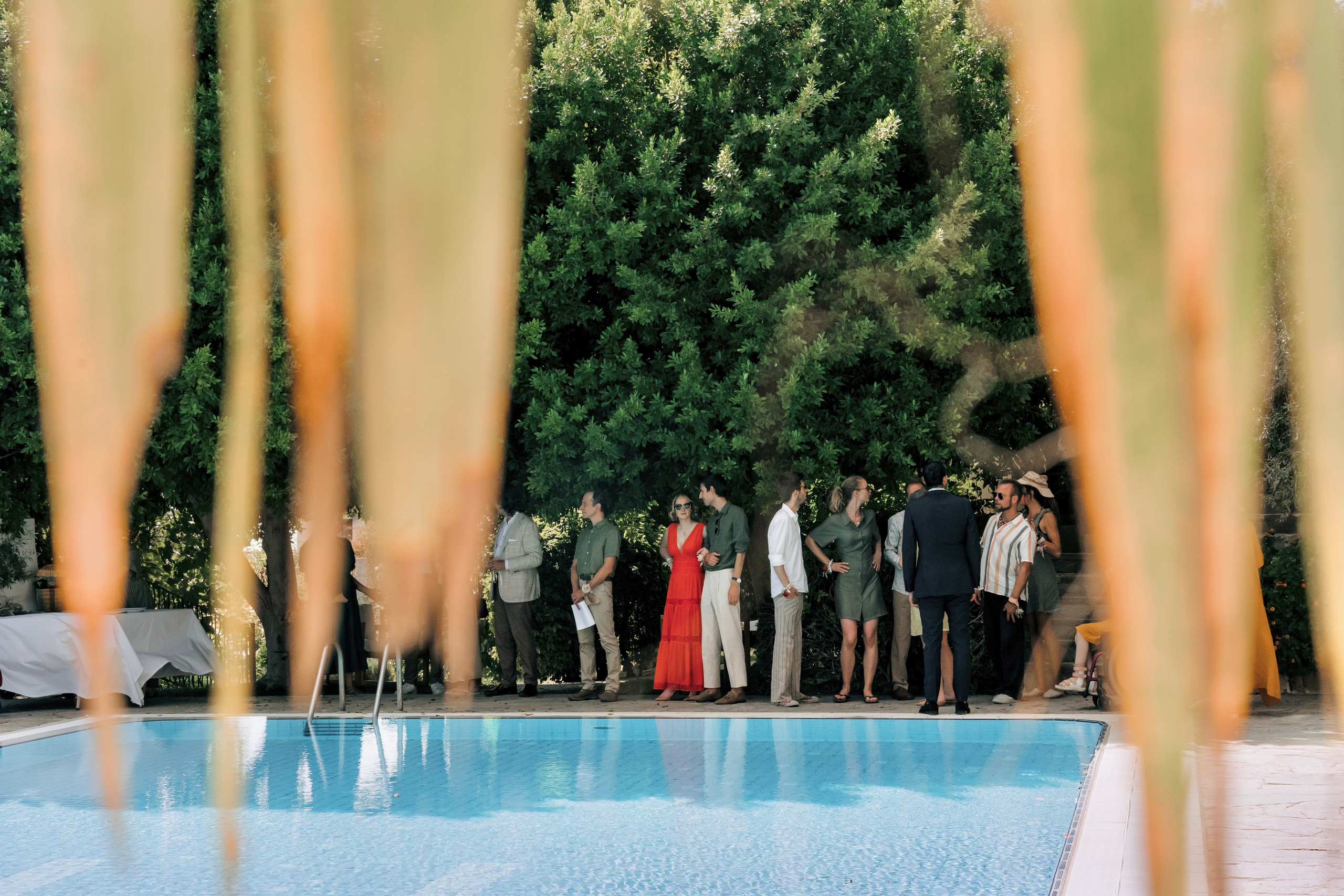 Where tulips meet birch trees. Wedding & Documentary Photographer based in Nuremberg — available across Europe & Turkey | Vitalii Nasonov