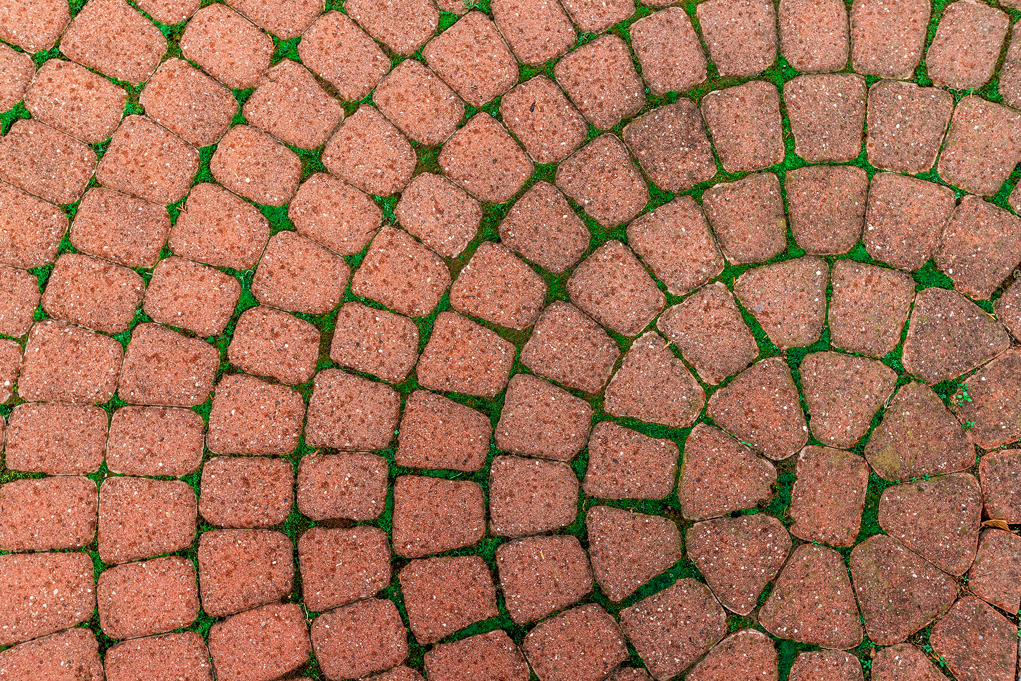 Дом в микрорайоне Магнолия, курорт Геленджик. Фотограф Александр Трихонюк. Фото недвижимости в Геленджике