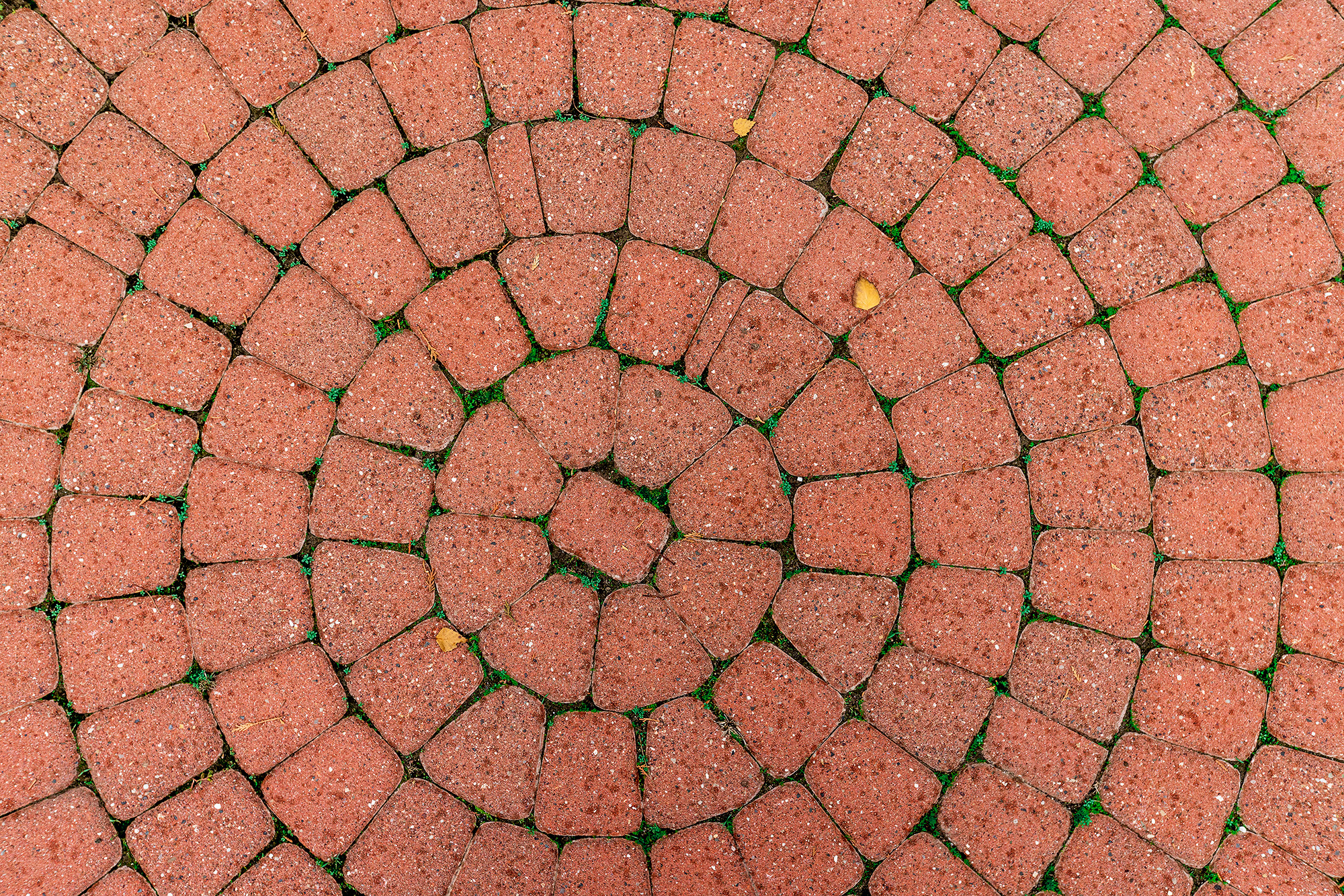 Дом в микрорайоне Магнолия, курорт Геленджик. Фотограф Александр Трихонюк. Фото недвижимости в Геленджике