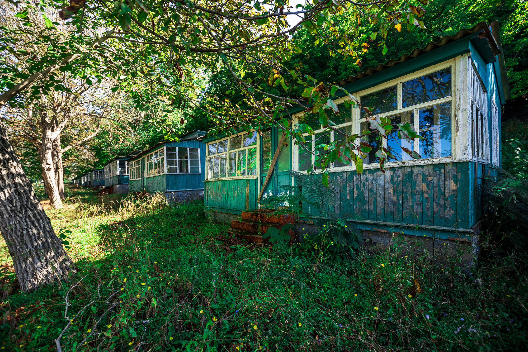 Заброшенная база отдыха в селе Архипо-Осиповка. Фотограф Александр Трихонюк. Фото недвижимости в Геленджике