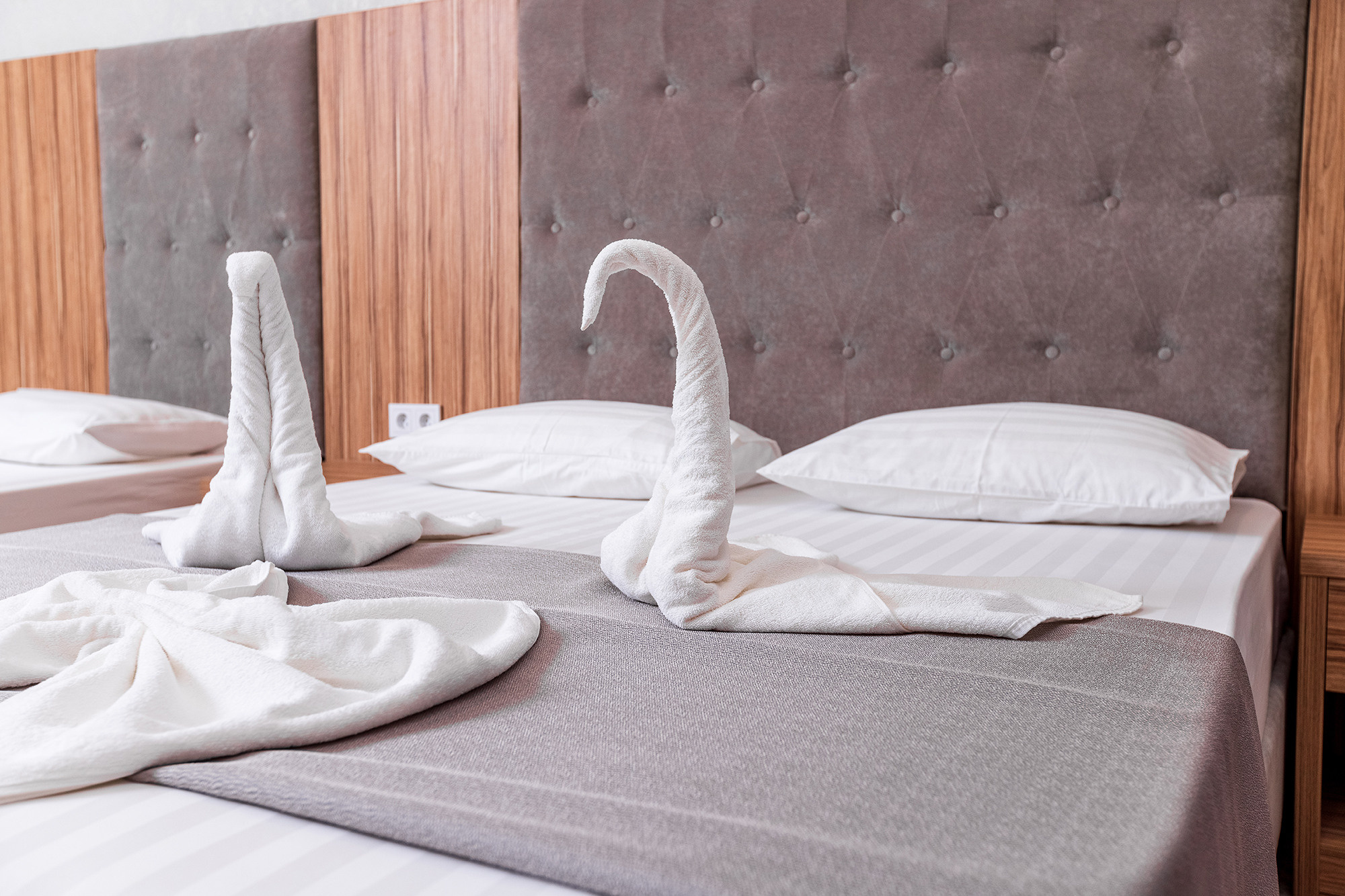 Гостиница «Акрополь». Номера и столовая. Фотограф Александр Трихонюк. Фото недвижимости в Геленджике