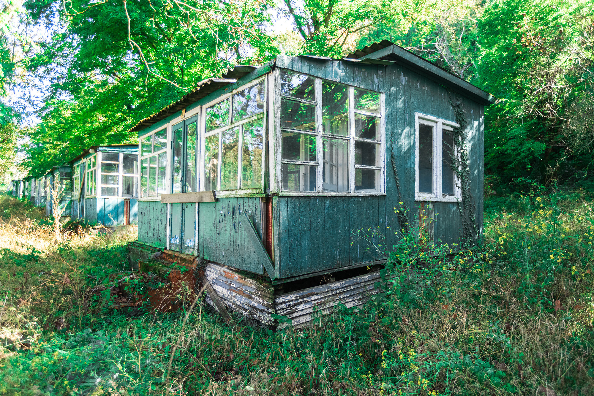 Заброшенная база отдыха в селе Архипо-Осиповка. Фотограф Александр Трихонюк. Фото недвижимости в Геленджике