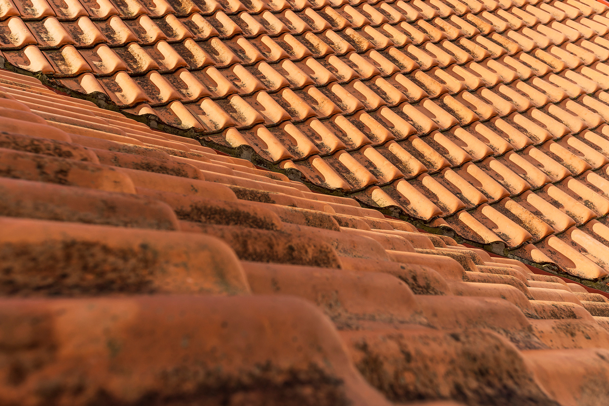 Дом в микрорайоне Магнолия, курорт Геленджик. Фотограф Александр Трихонюк. Фото недвижимости в Геленджике