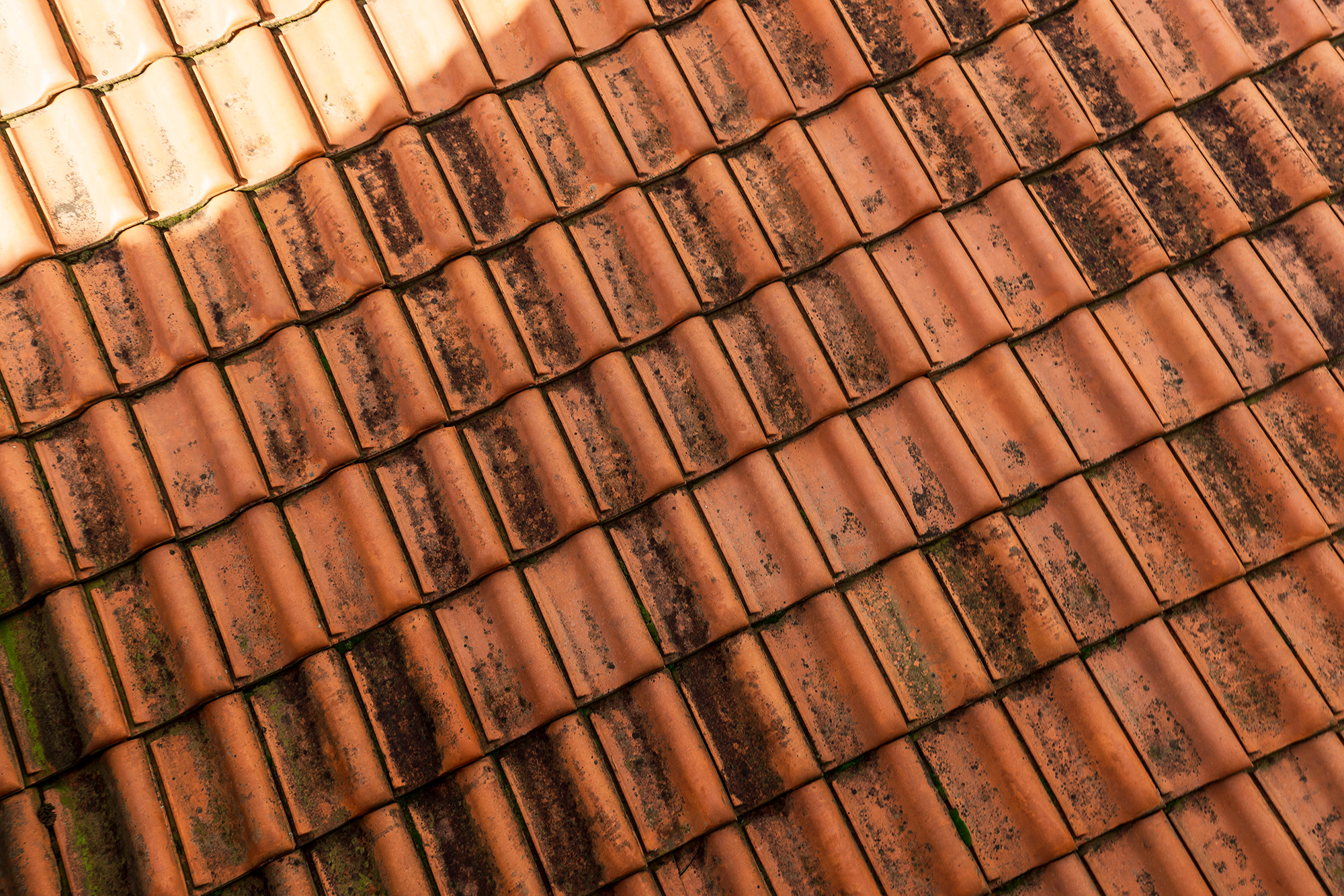 Дом в микрорайоне Магнолия, курорт Геленджик. Фотограф Александр Трихонюк. Фото недвижимости в Геленджике