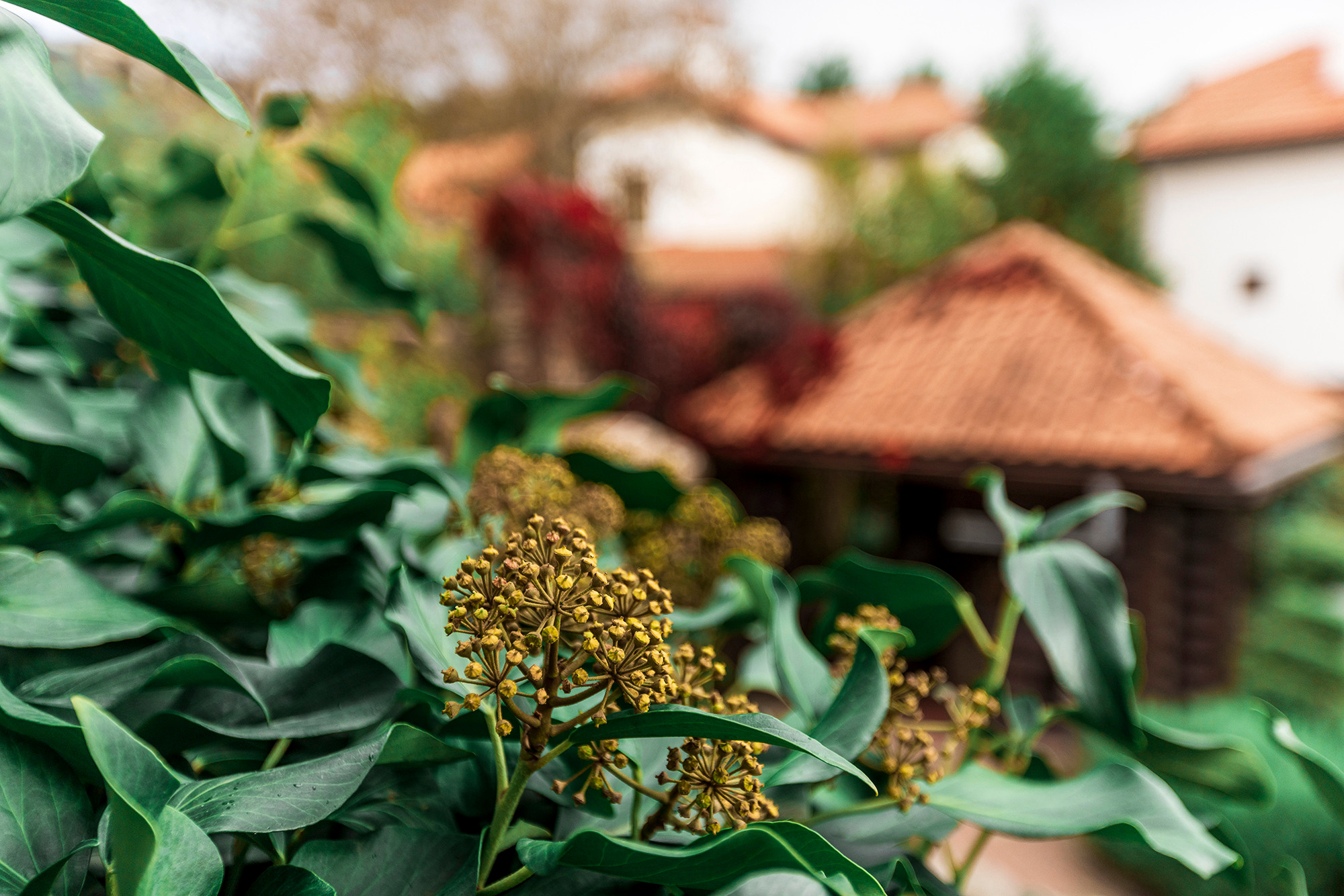 Дом в микрорайоне Магнолия, курорт Геленджик. Фотограф Александр Трихонюк. Фото недвижимости в Геленджике