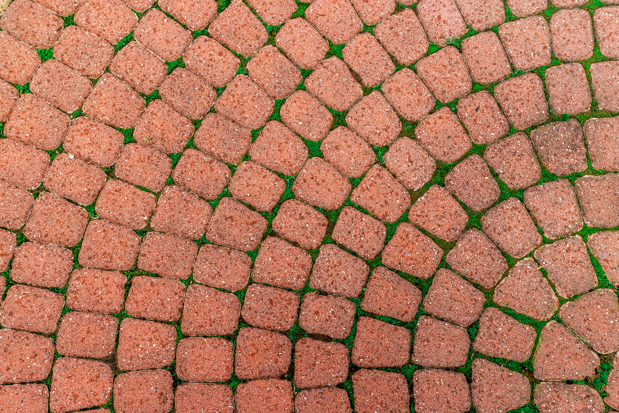 Дом в микрорайоне Магнолия, курорт Геленджик. Фотограф Александр Трихонюк. Фото недвижимости в Геленджике